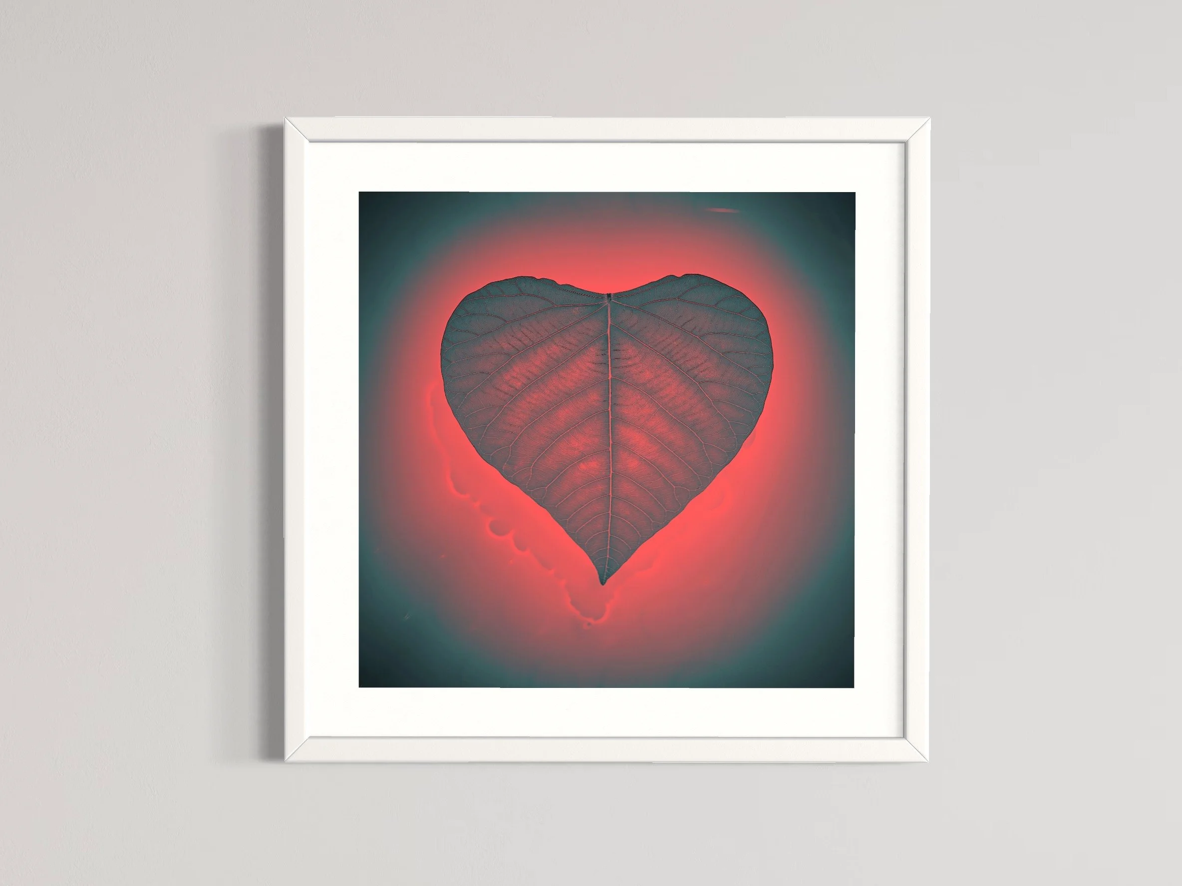 SEMD411 - White Frame.JPG