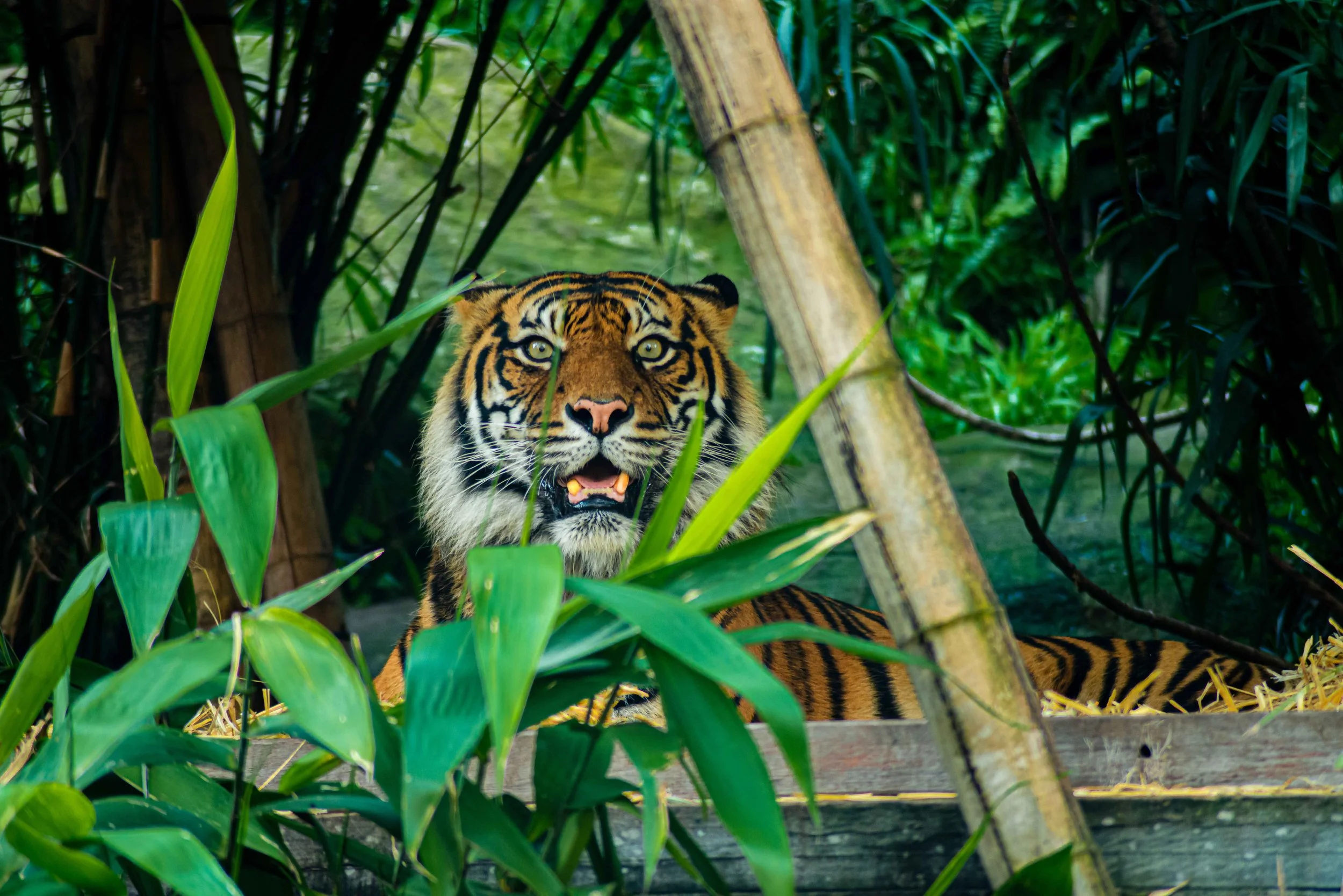 SEMD179 - DSC_7289 - Ratio 2x3.jpg
