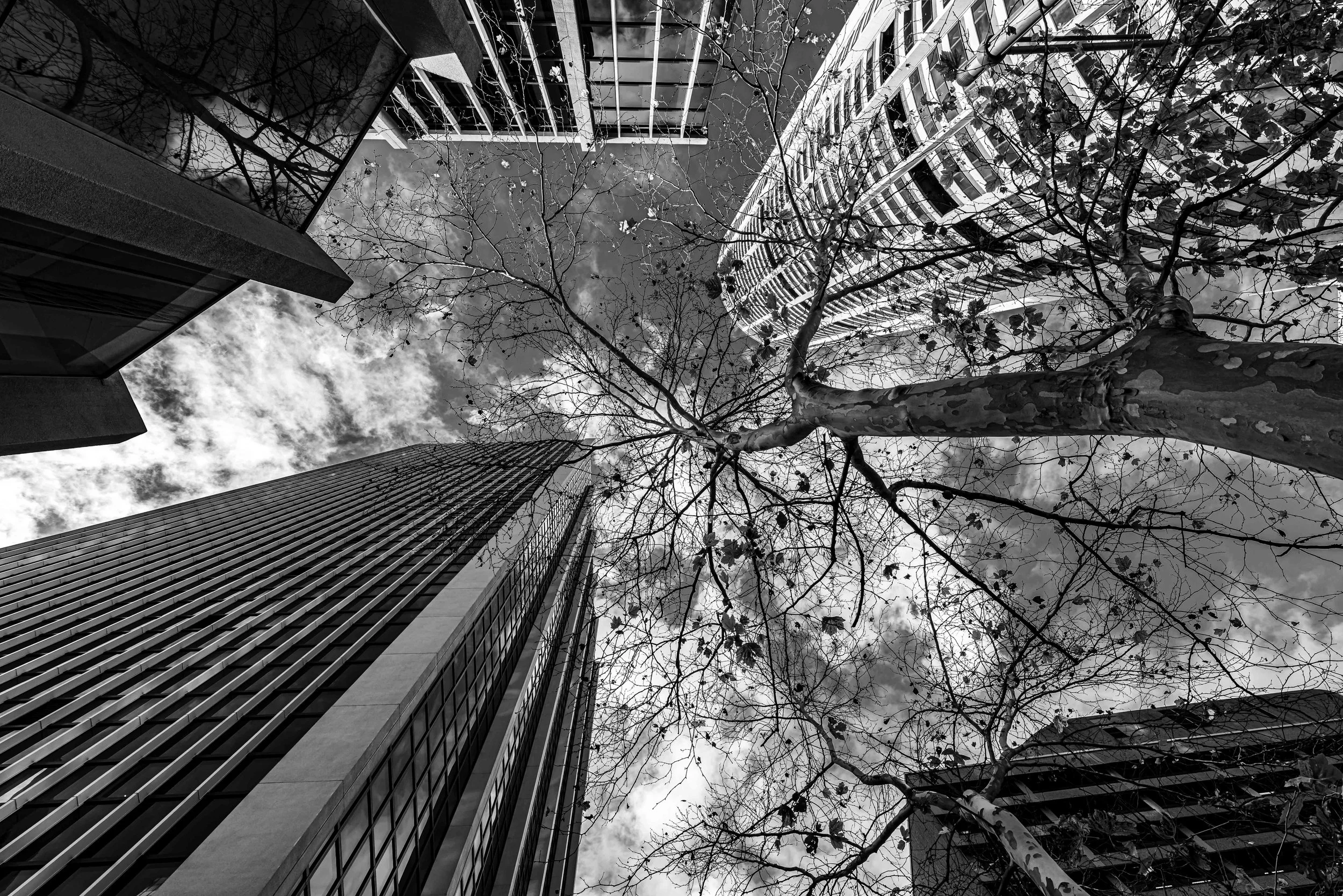 SEMD136 - DSC_6749 B&W - Ratio 2x3 Ltd.jpg