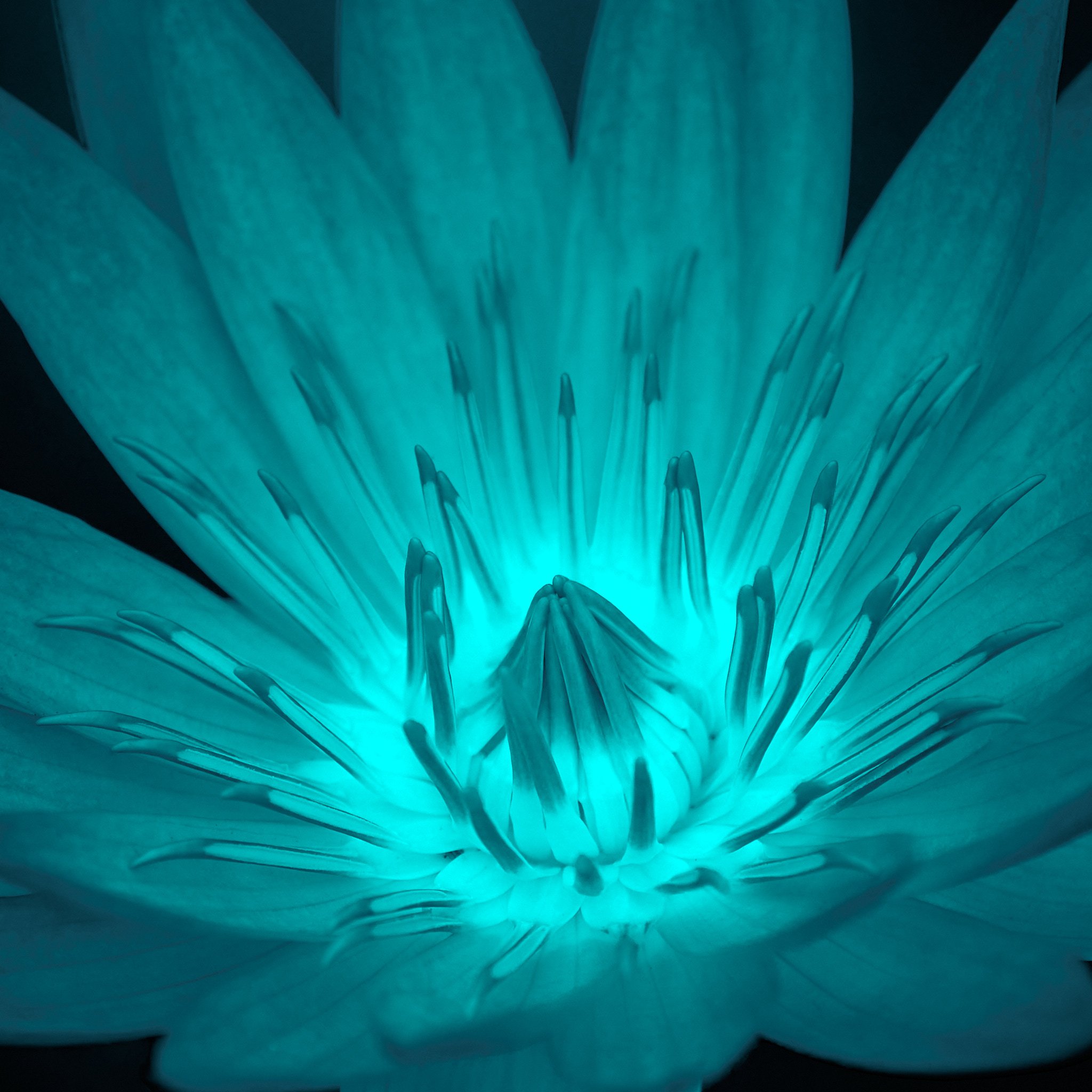 SEMD635 - SEM_7584 - Ratio - Square 1.jpg