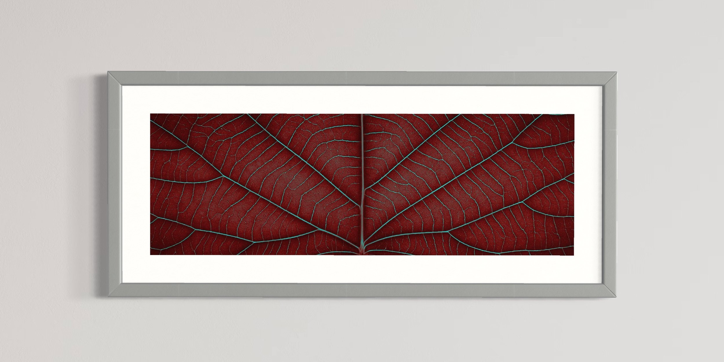 SEMD399 - Silver Frame.JPG