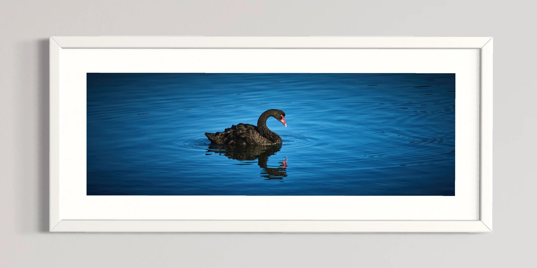 SEMD573 - White Frame.jpg