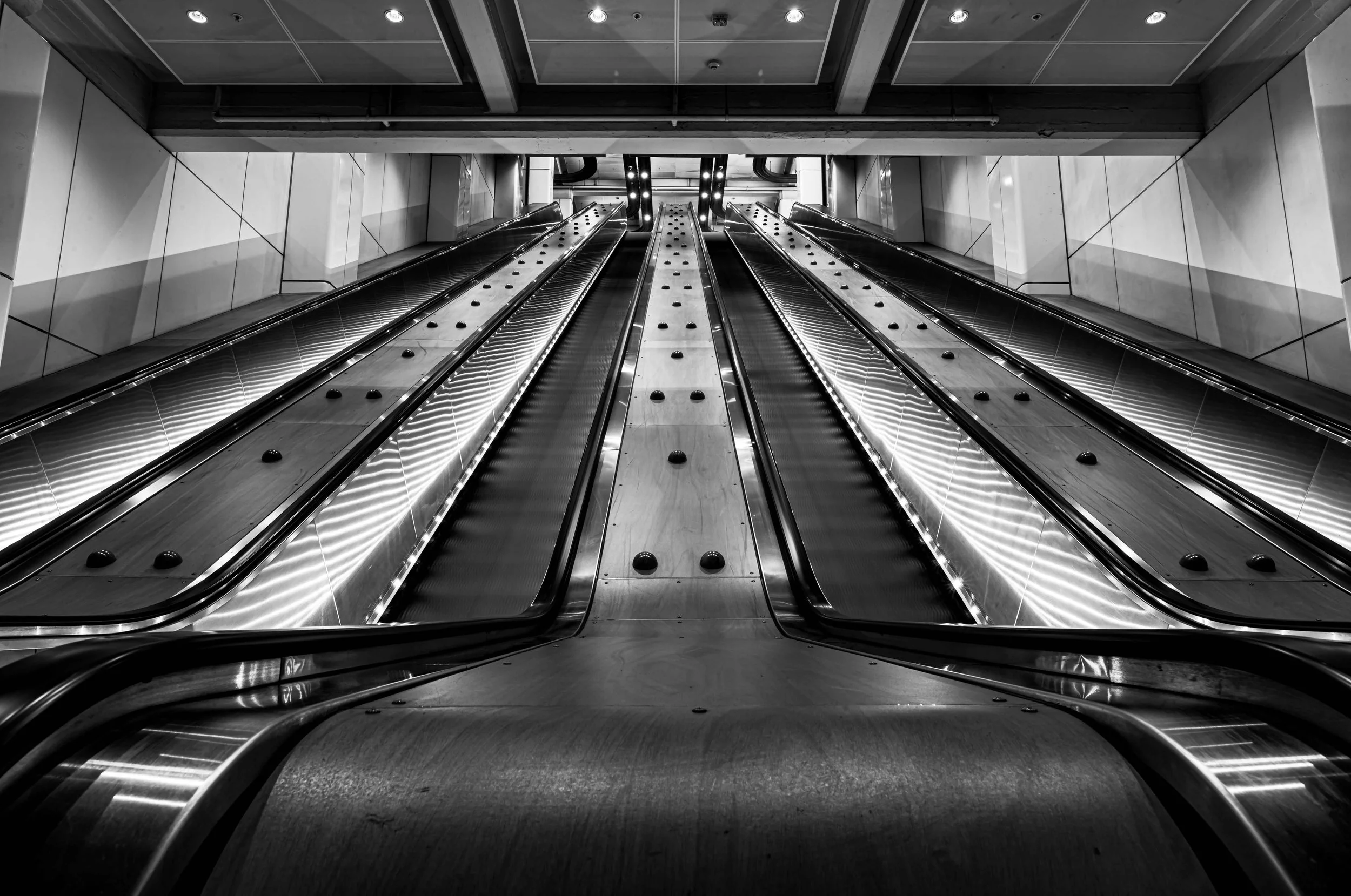 SEMD125 - DSC_6461 B&W - Ratio 2x3.jpg