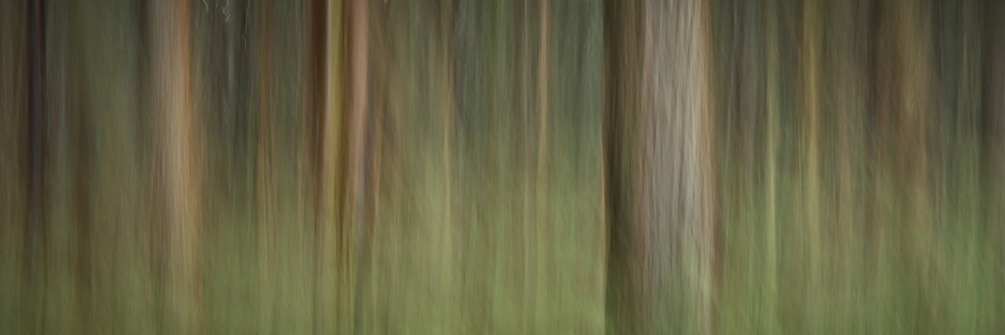 SEMD599 - DSC_5502 - Ratio 1x3.jpg