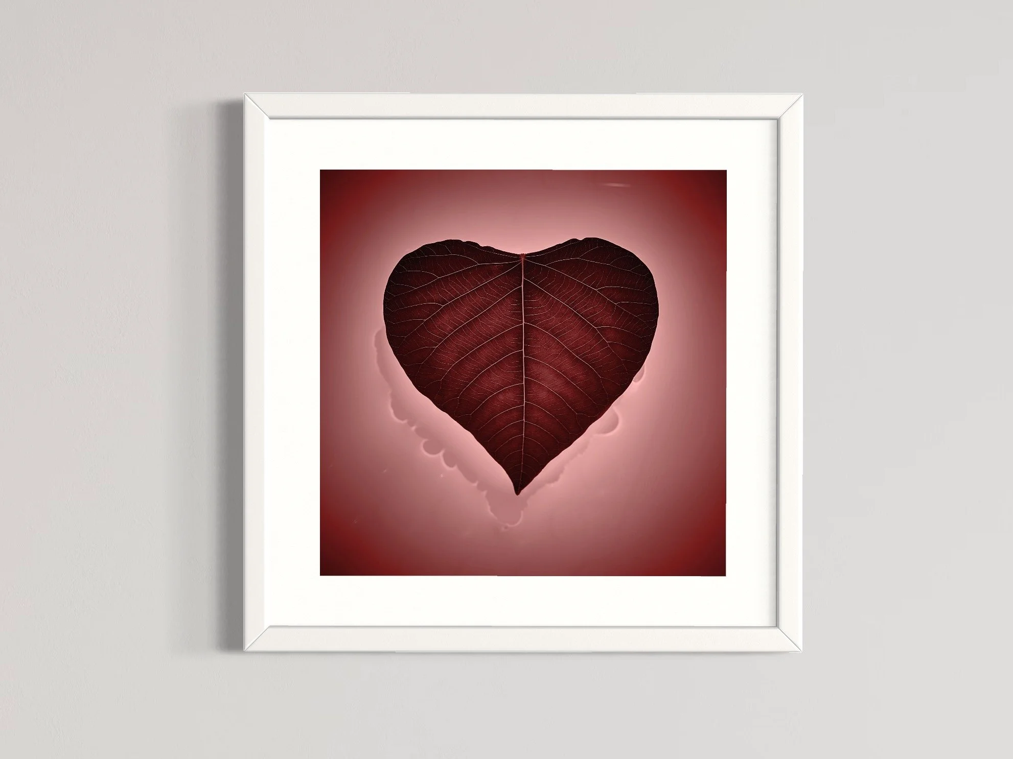 SEMD448 - White Frame.JPG