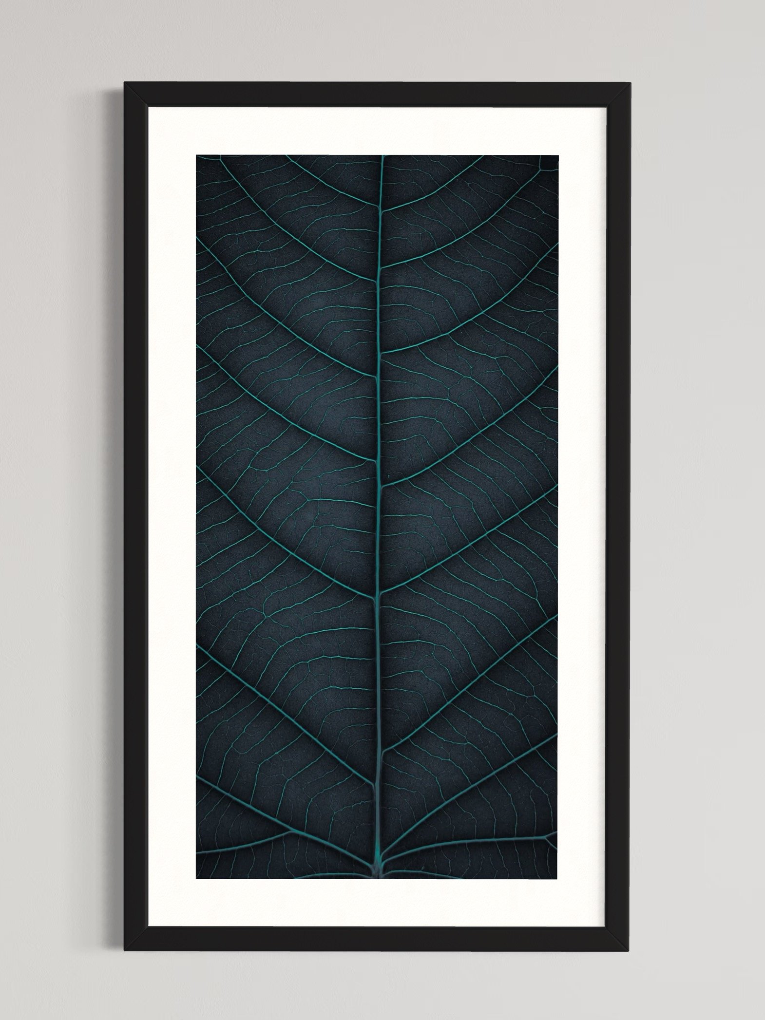 SEMD376 - Black Frame.jpeg