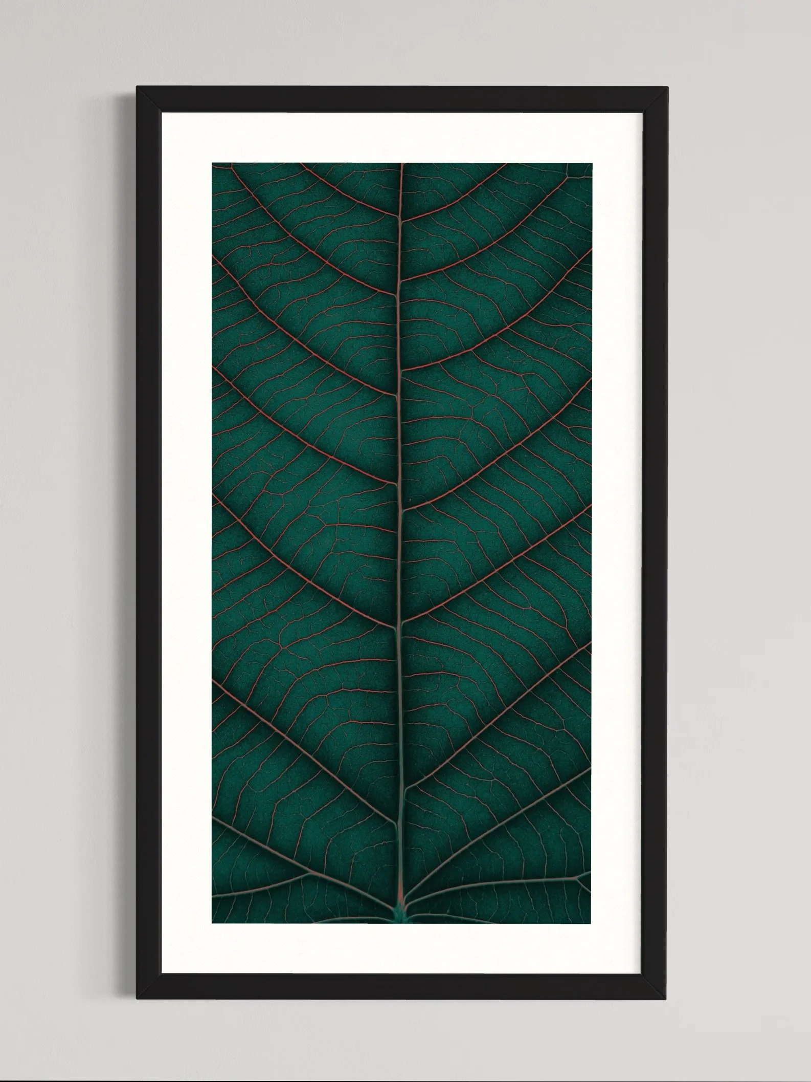 SEMD373 - Black Frame.jpeg