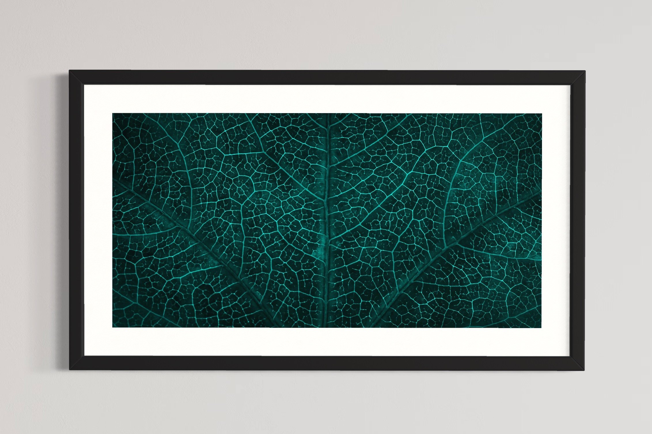 SEMD345 - Black Frame.JPG
