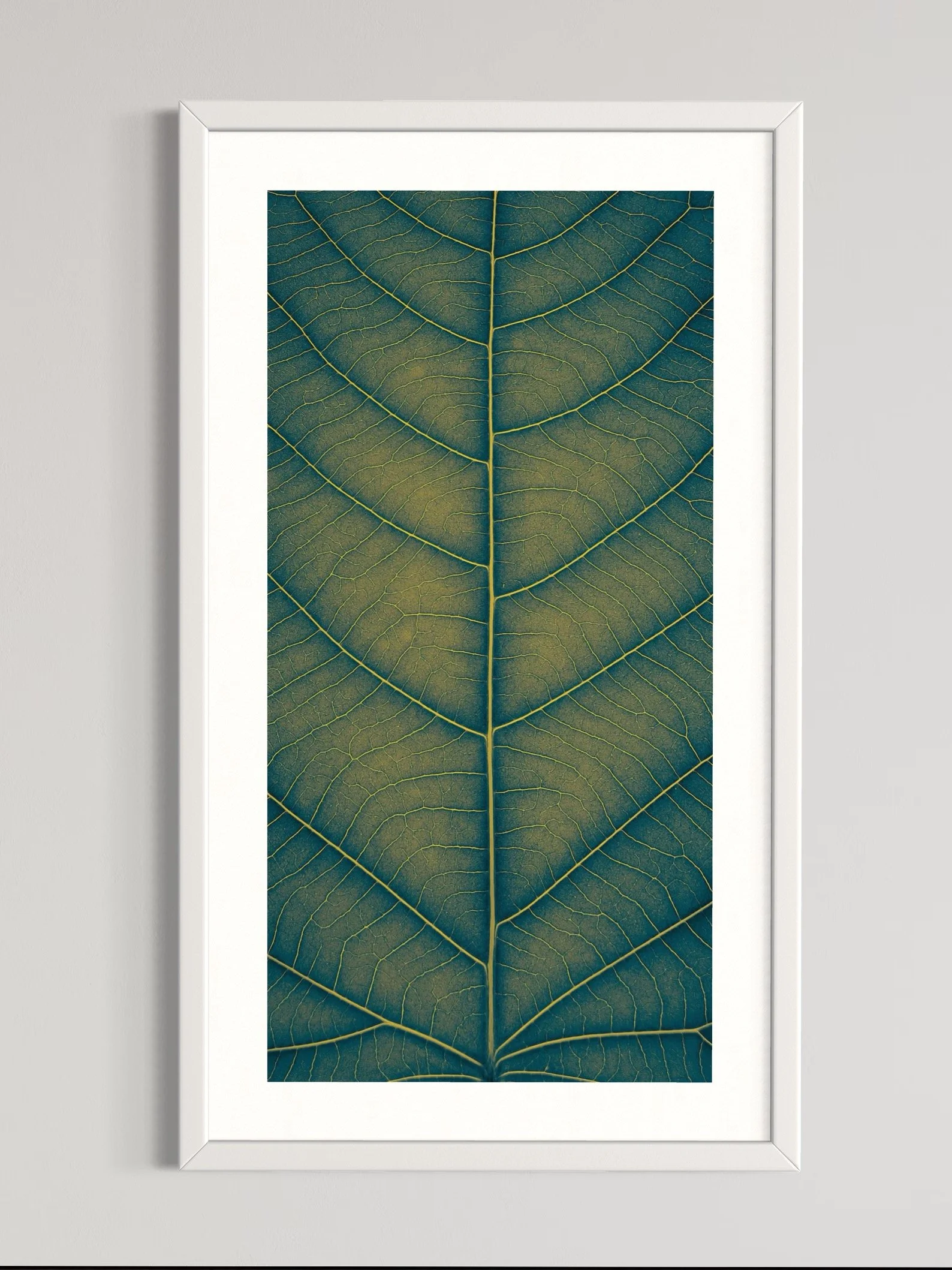SEMD374 - White Frame.jpeg