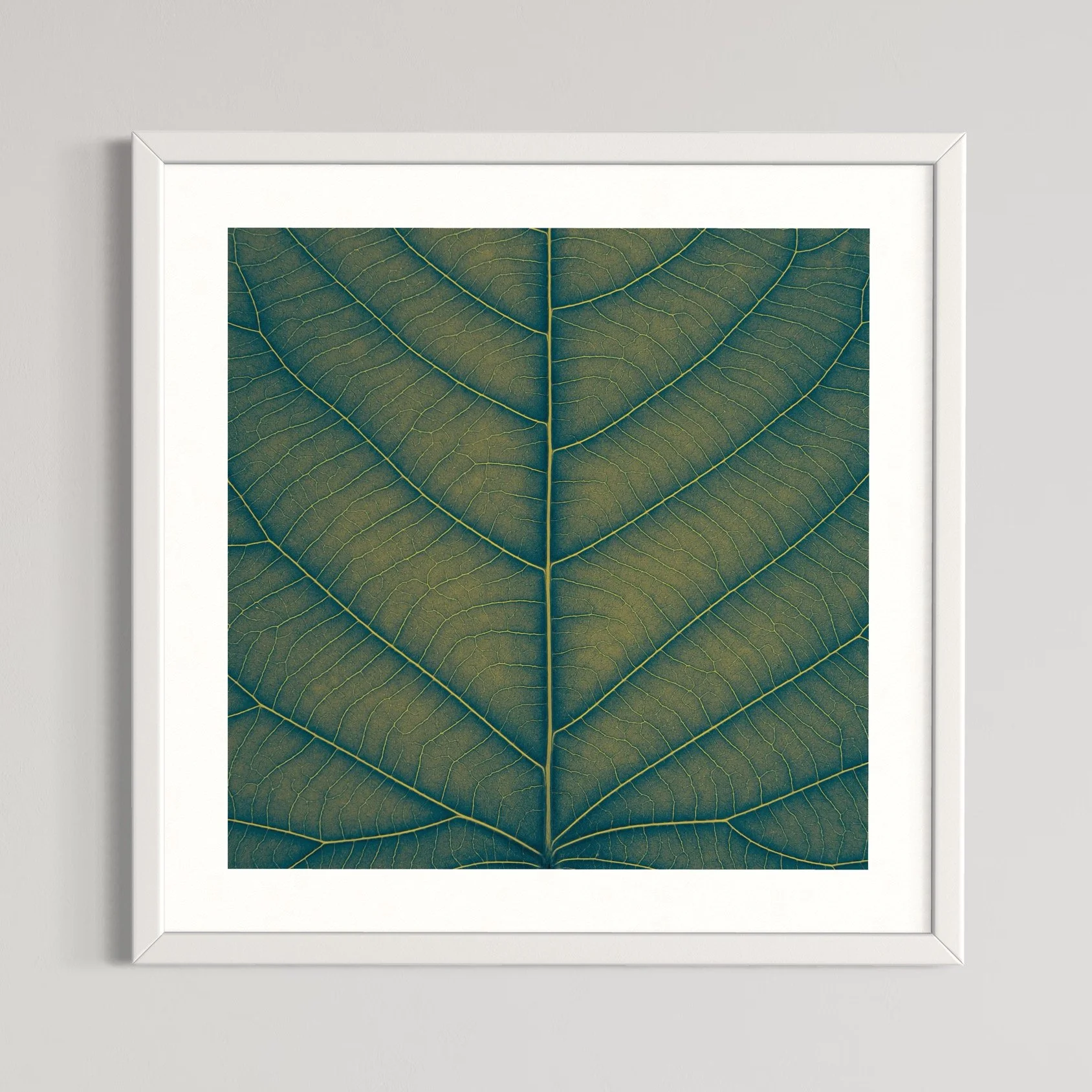 SEMD394 - White Frame.jpeg