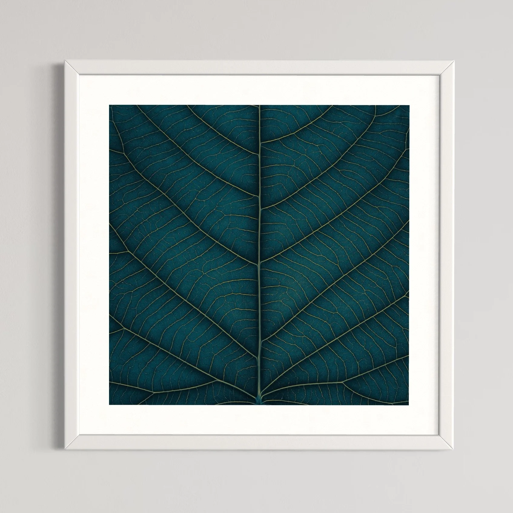 SEMD393 - White Frame.jpeg