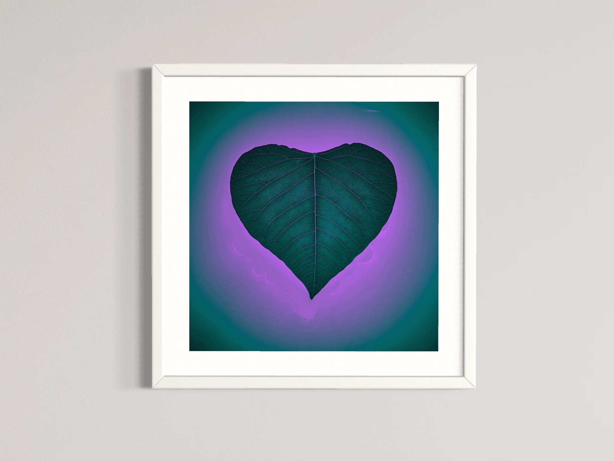 SEMD421 - White Frame.JPG