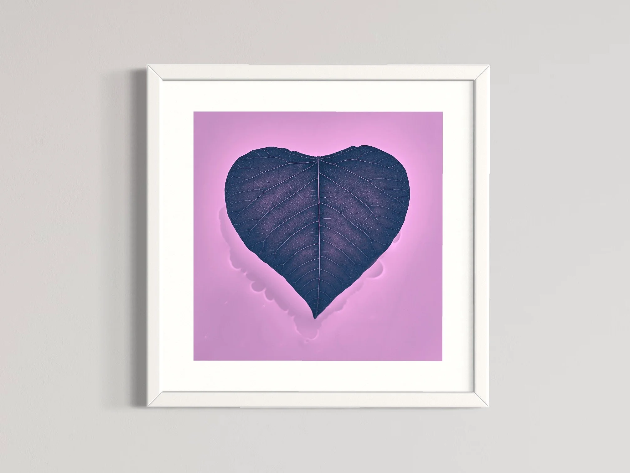 SEMD426 - White Frame.JPG