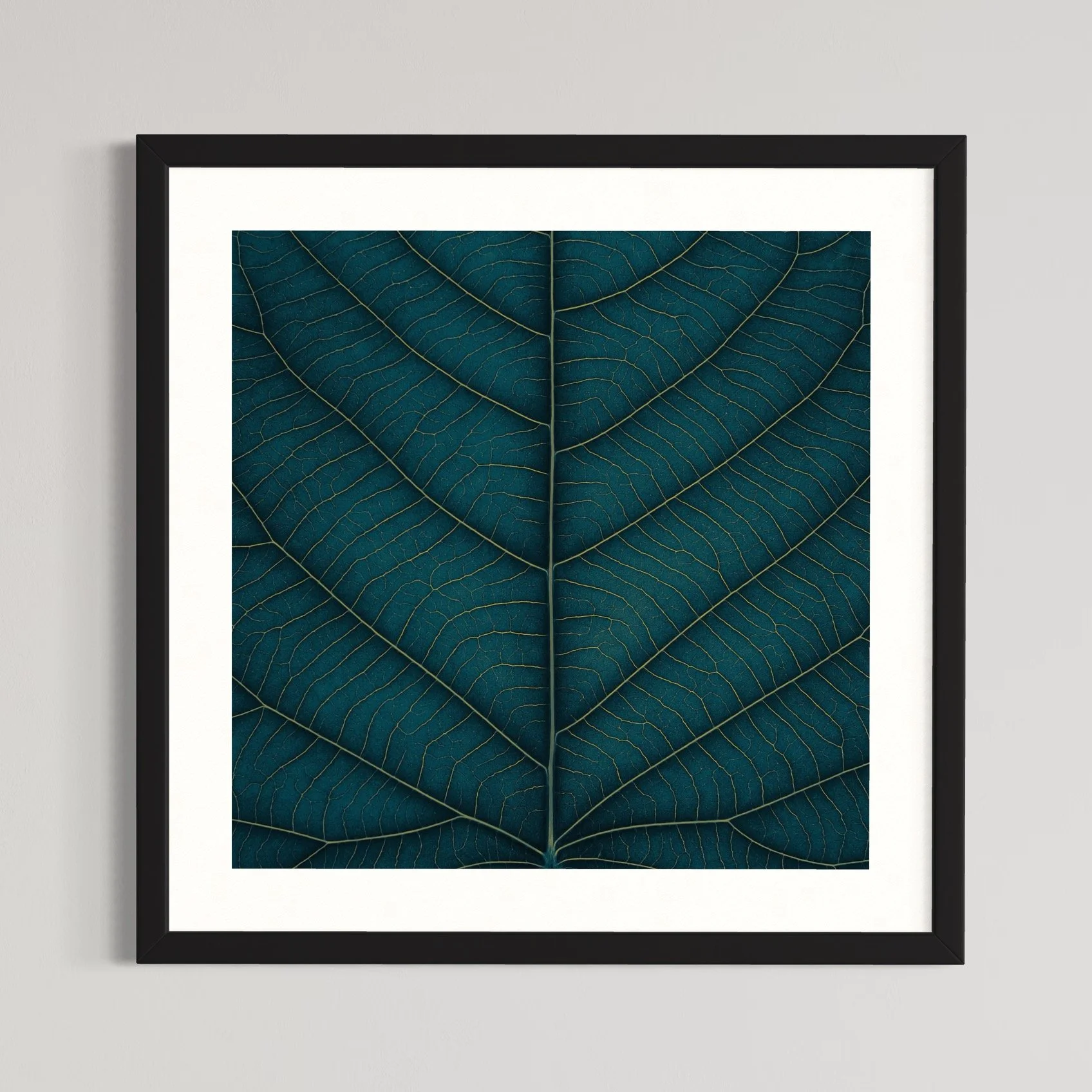 SEMD393 - Black Frame.jpeg