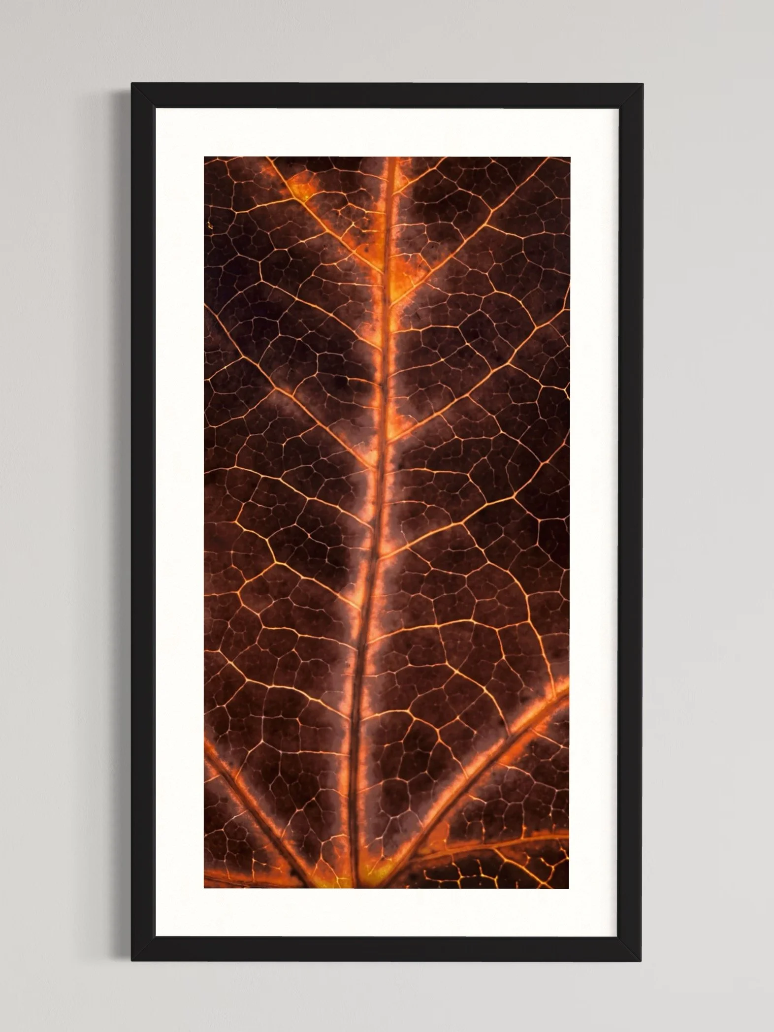 SEMD318 - Black Frame.jpeg