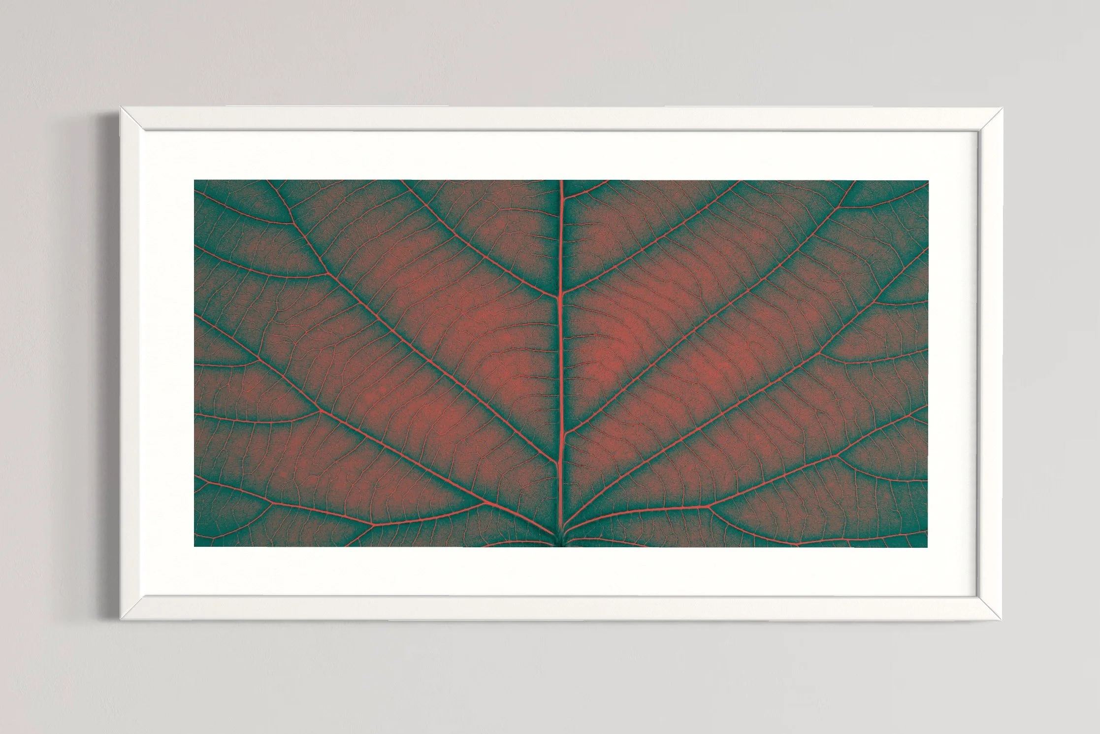 SEMD383 - White Frame.JPG