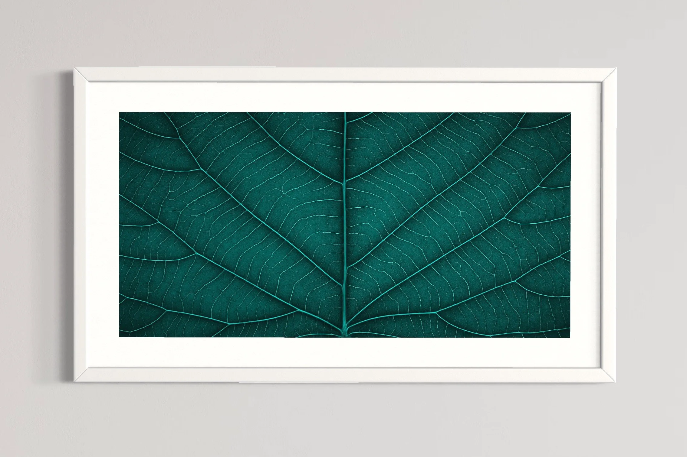 SEMD401 - White Frame.JPG