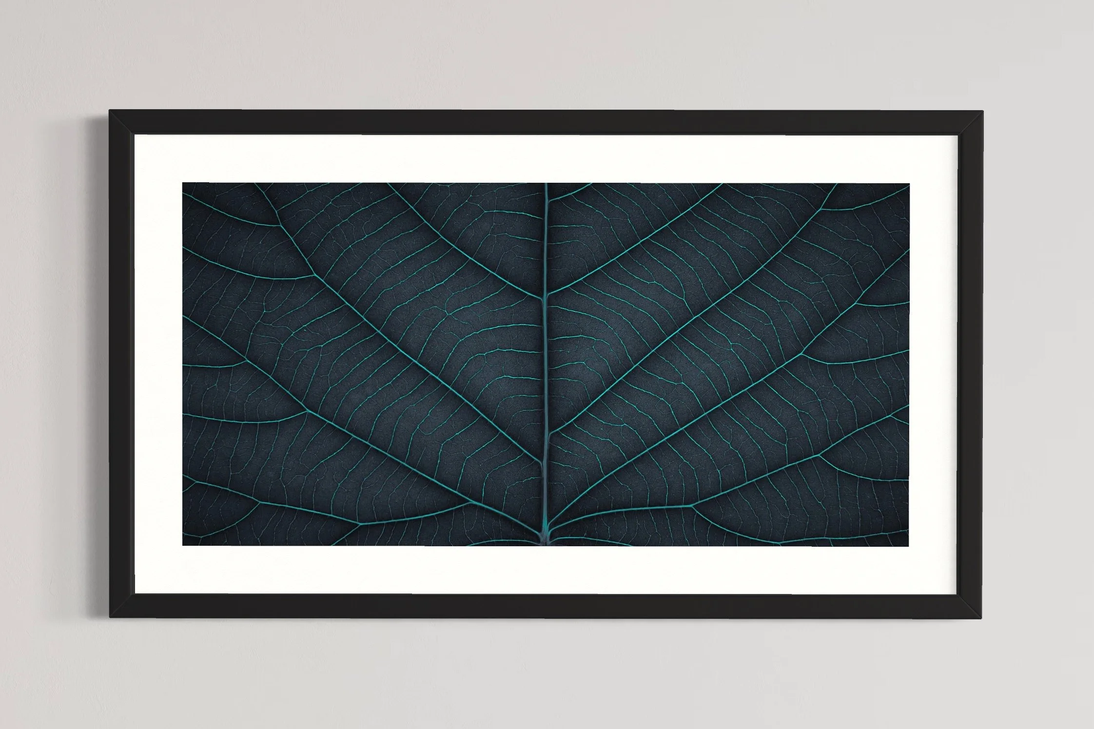 SEMD397 - Black Frame.JPG