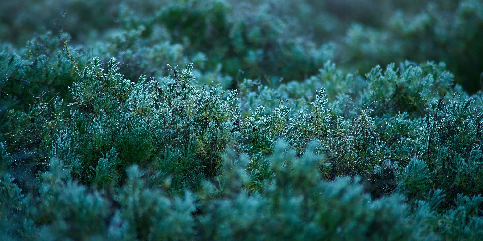 SEMD571 - SEM_1569 - Ratio 1x2.jpg