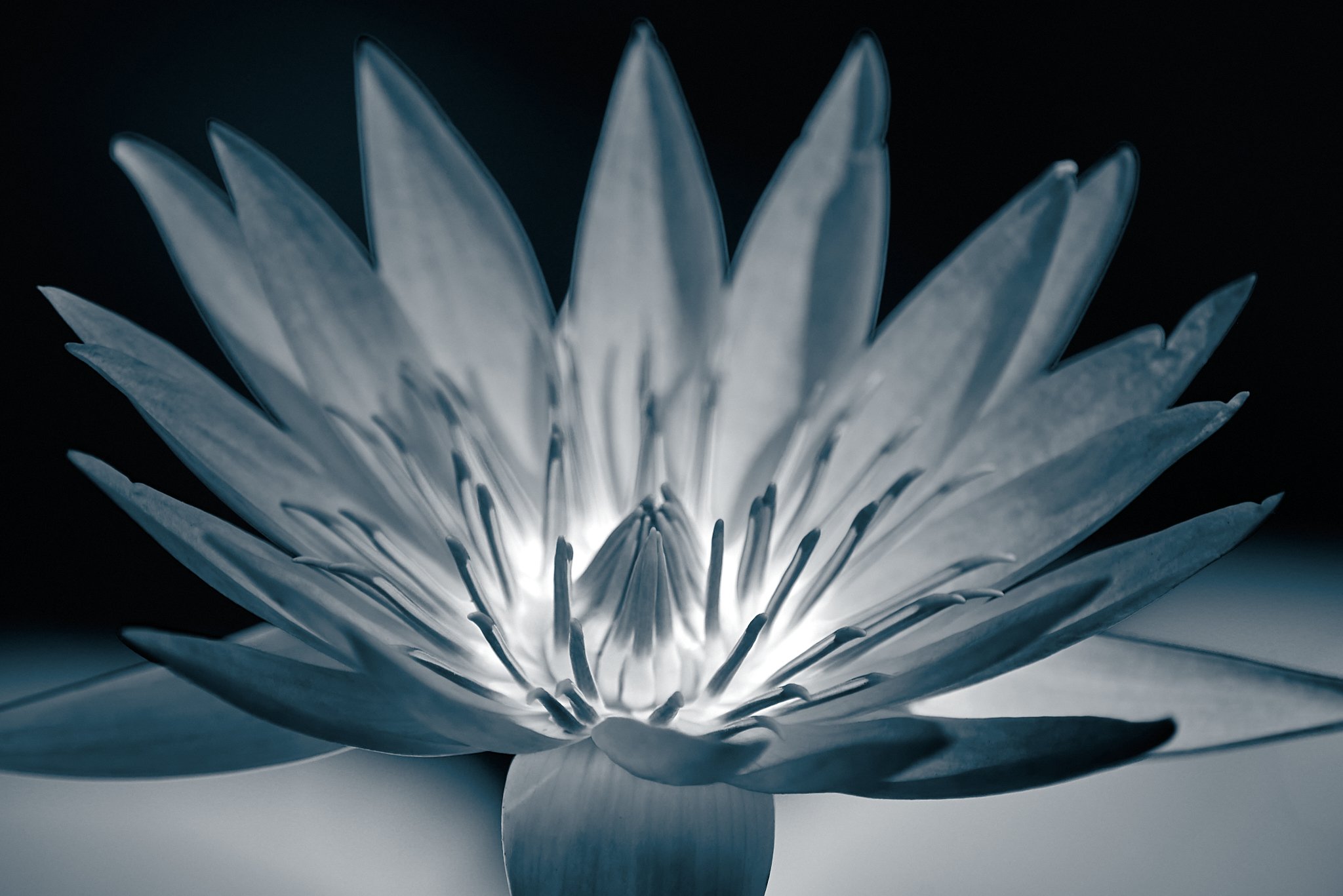 SEMD637 - SEM_7590 - Camera - Nikon D800