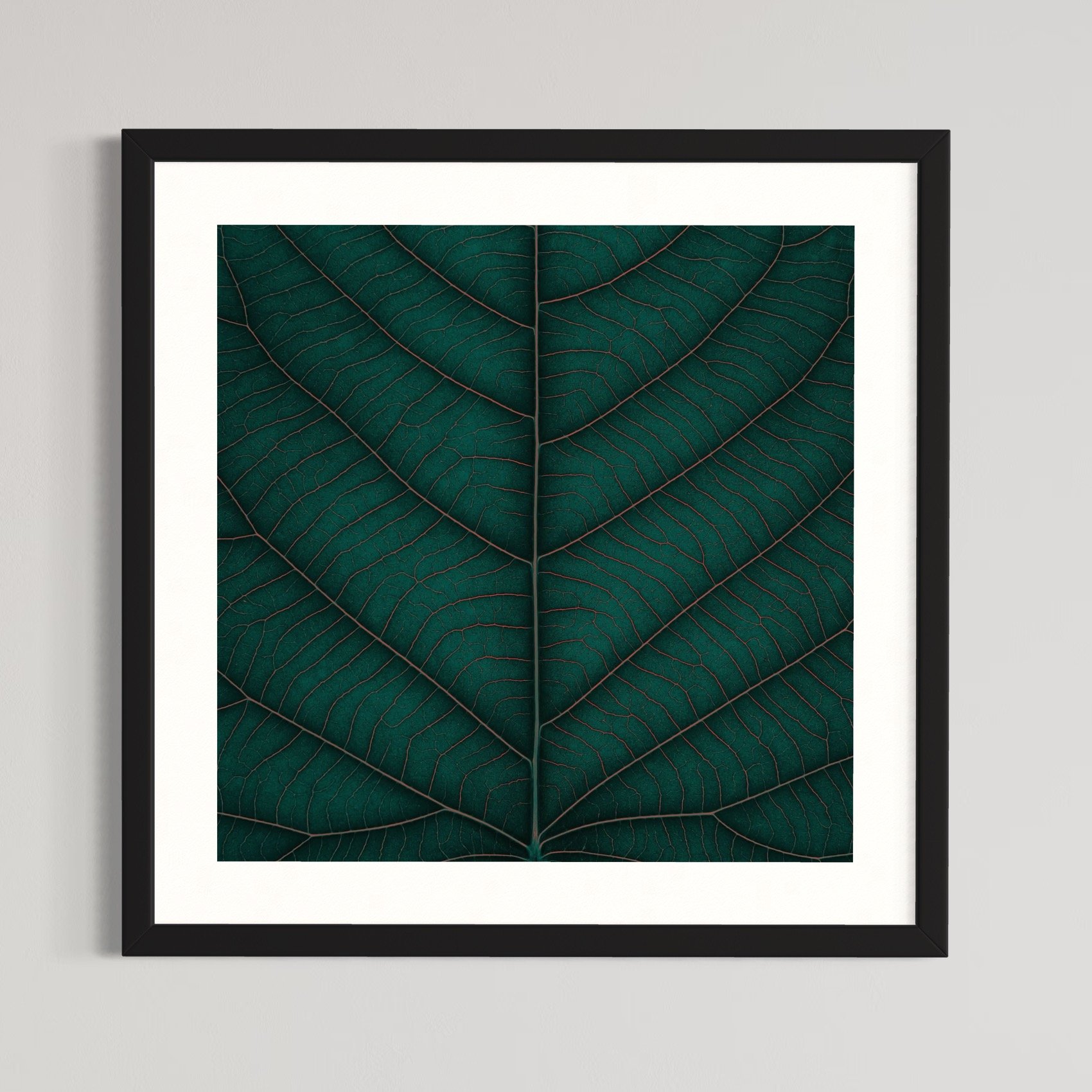 SEMD387 - Black Frame.jpeg