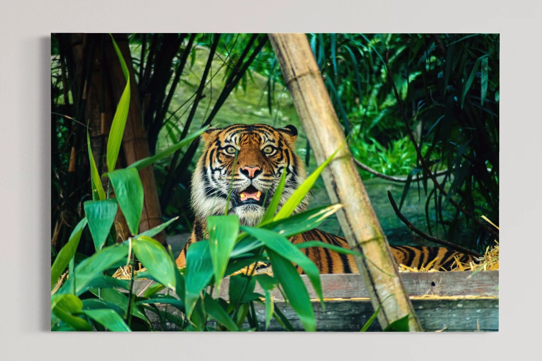 IMG_6769.JPG