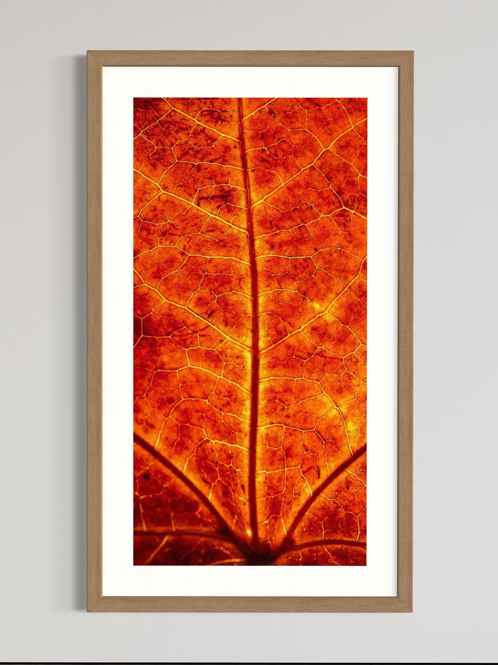 SEMD304 - Natural Light Wood Frame.jpeg