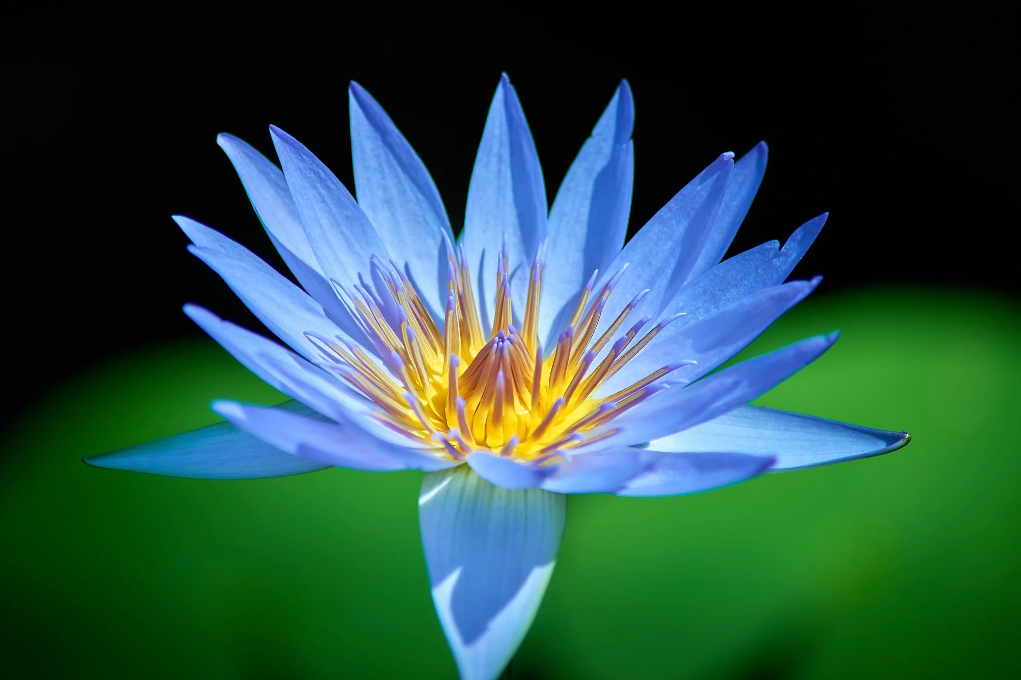 SEMD647 - SEM_7663 - Ratio 2x3 - Camera - Nikon D800