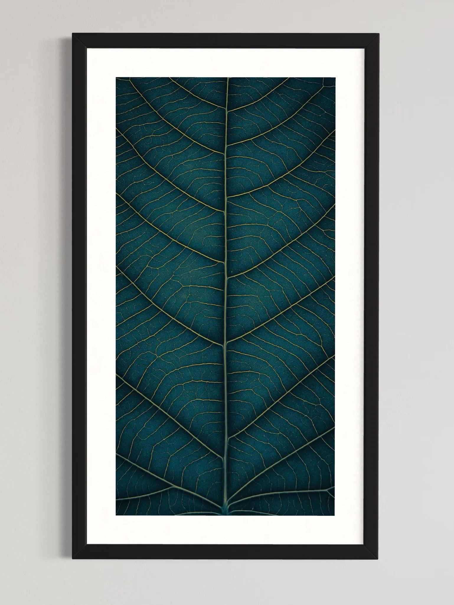 SEMD375 - Black Frame.jpeg