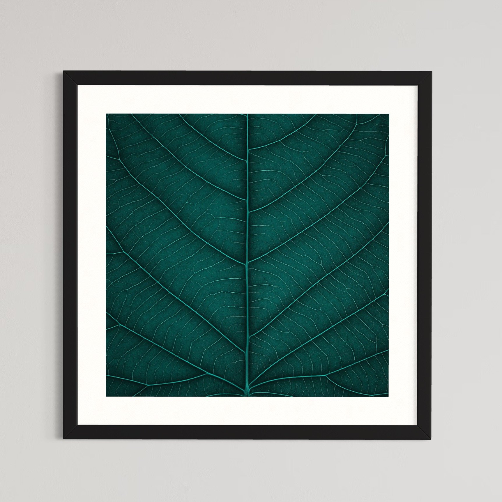 SEMD403 - Black Frame.jpeg