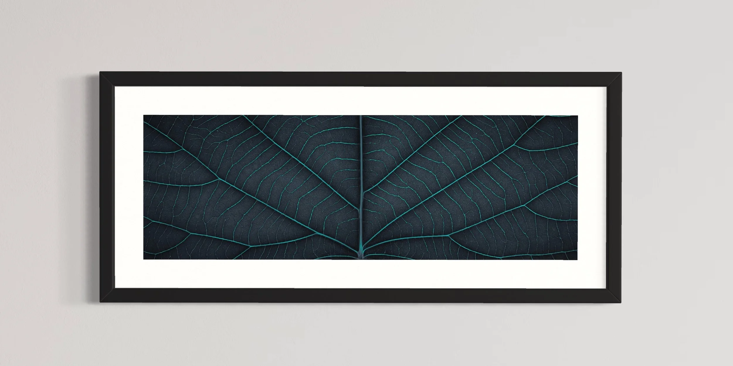 SEMD395 - Black Frame.JPG
