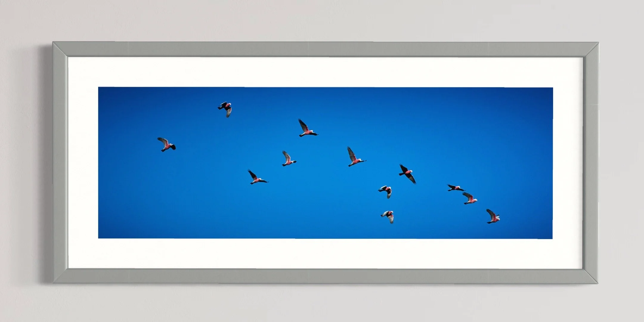 SEMD576 - Silver Frame.jpg