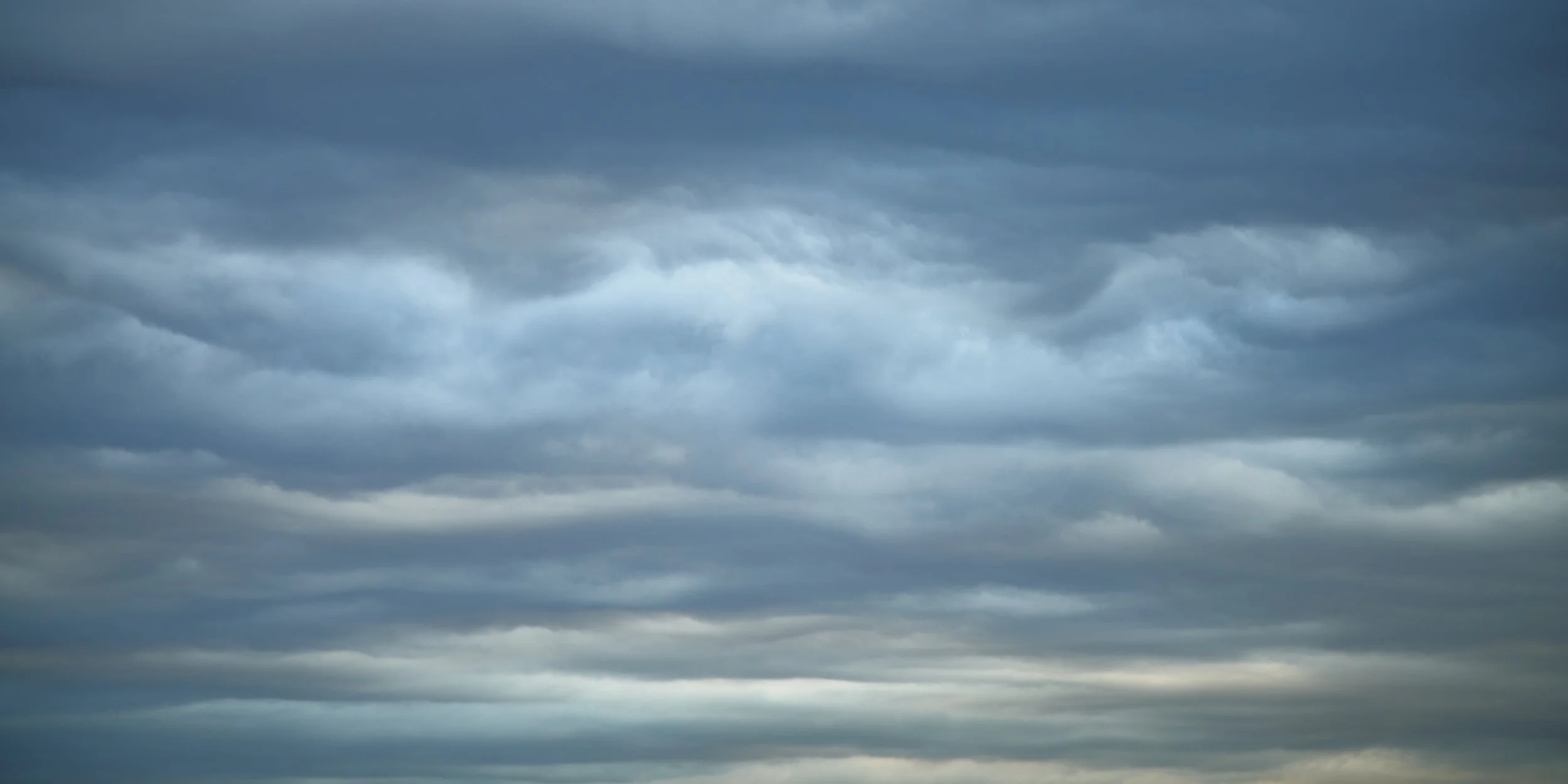 SEMD487 - DSC_1636 - Ratio 1x2.jpg
