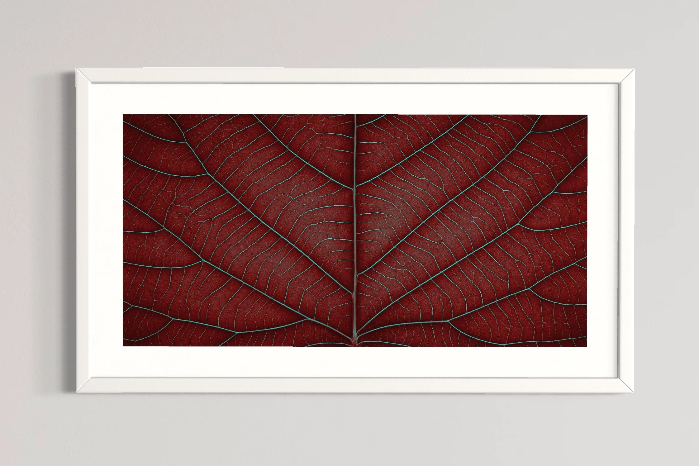 SEMD398 - White Frame.JPG