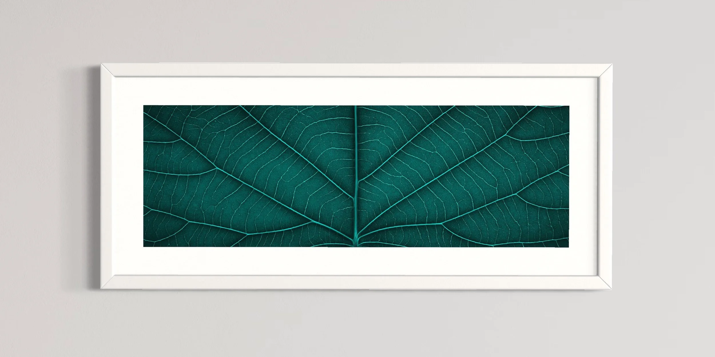 SEMD402 - White Frame.JPG