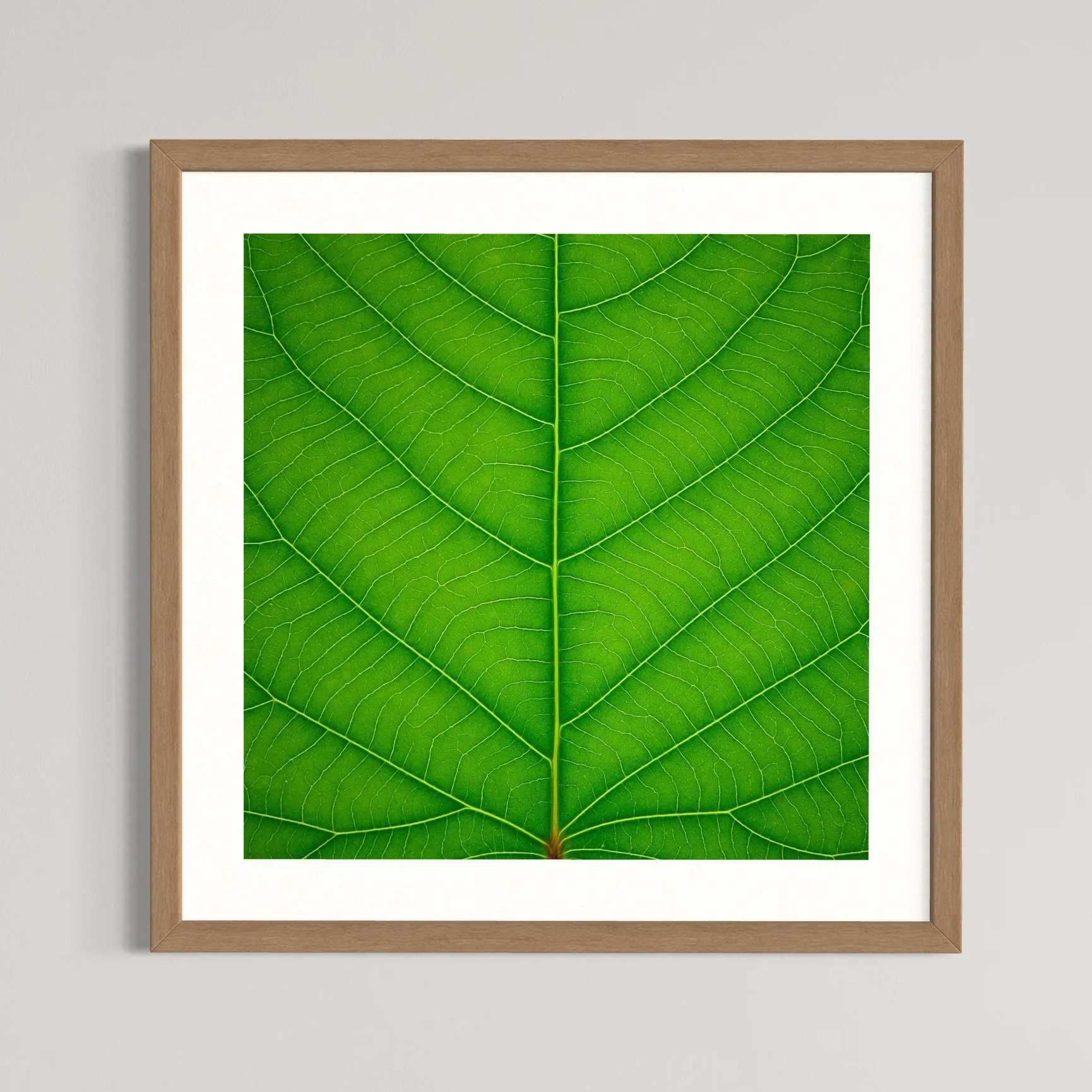 SEMD382 - Natural Light Wood Frame.jpeg
