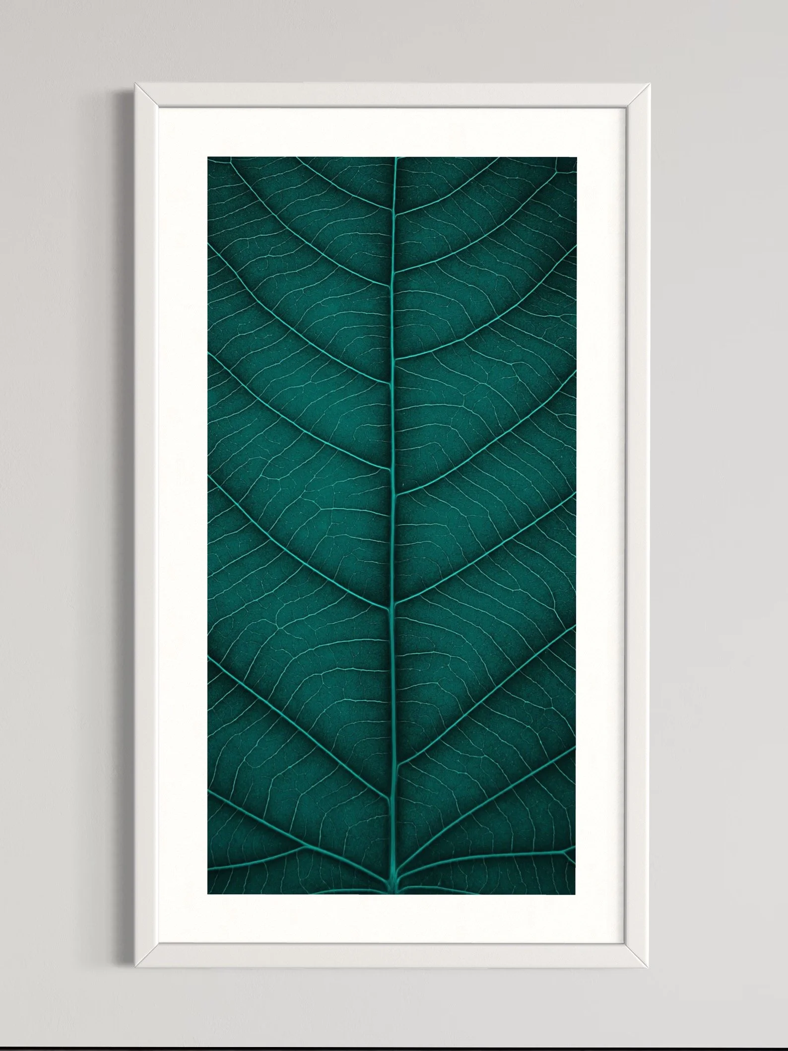 SEMD378 - White Frame.jpeg