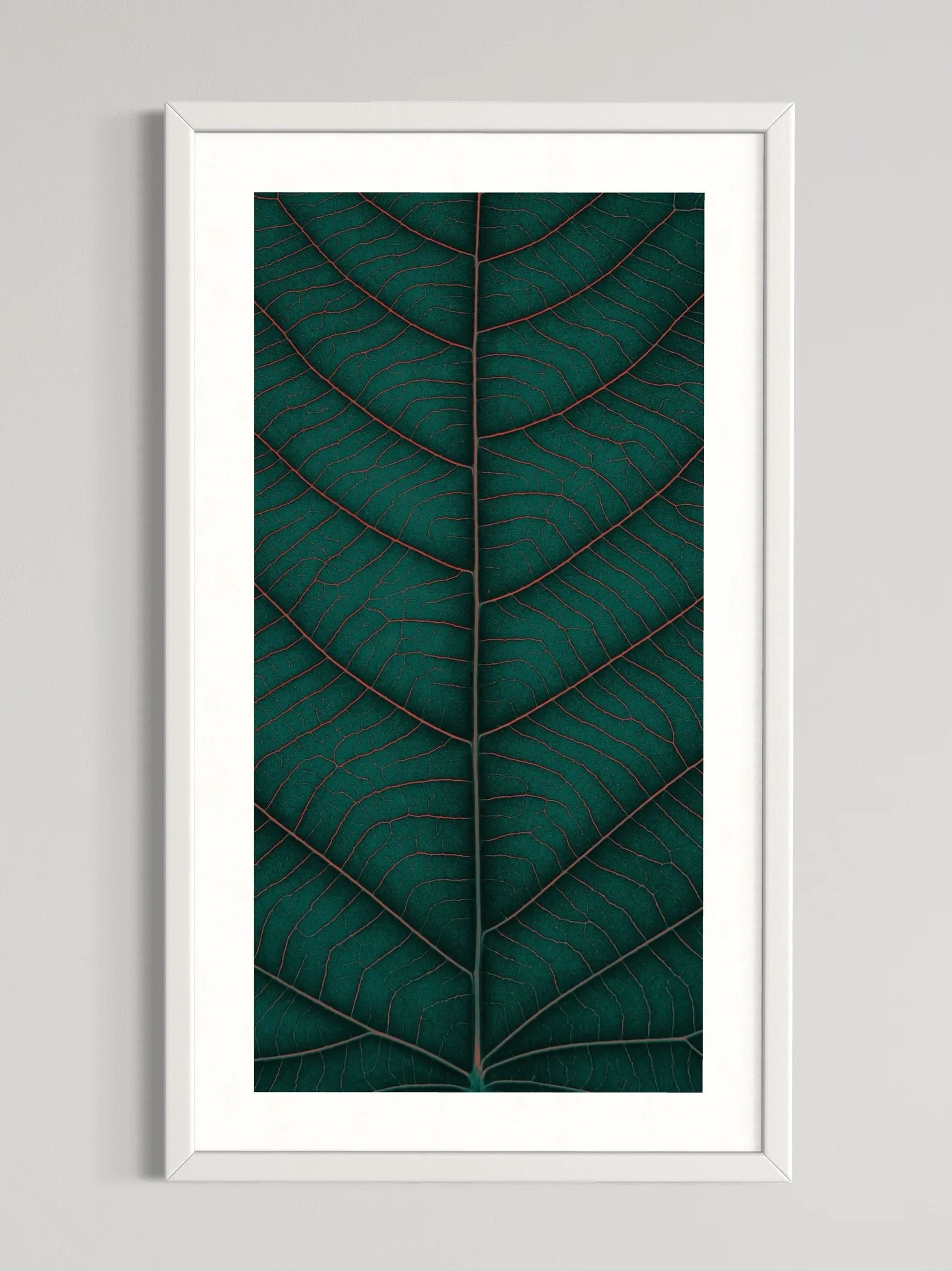 SEMD373 - White Frame.jpeg