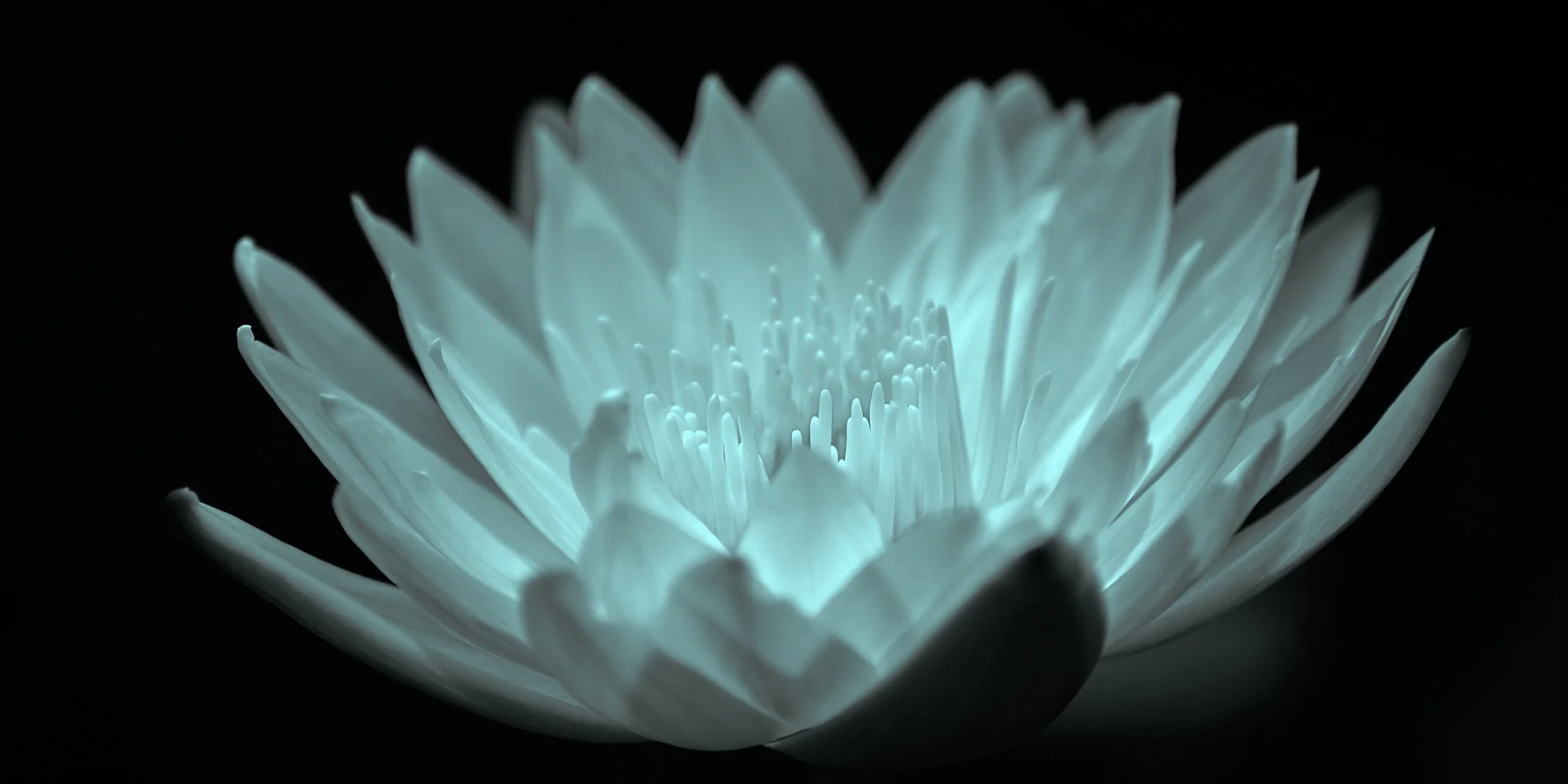 SEMD640 - SEM_7605 - Ratio 1x2 - Camera - Nikon D800