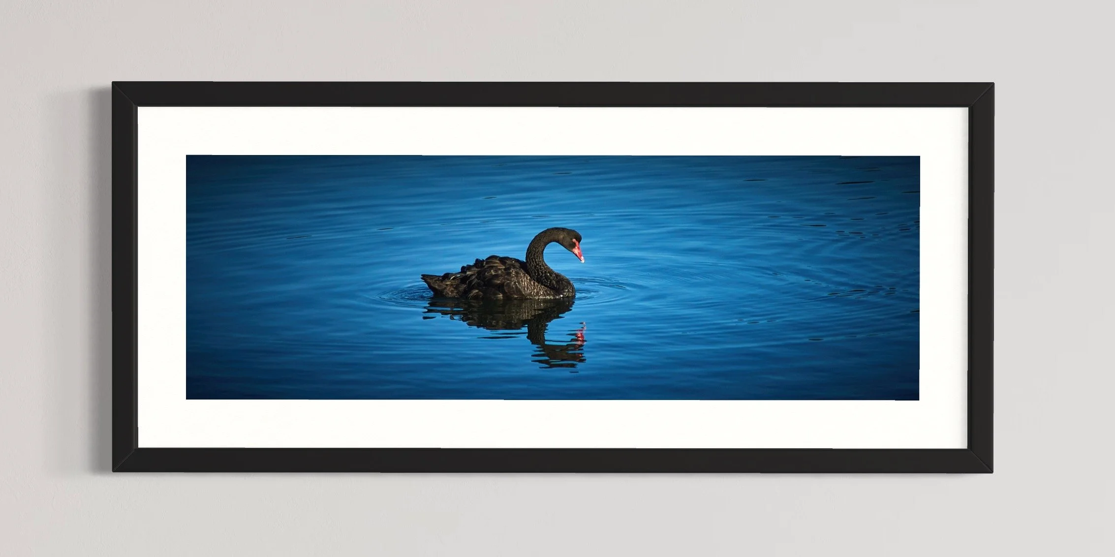 SEMD573 - Black Frame.jpg