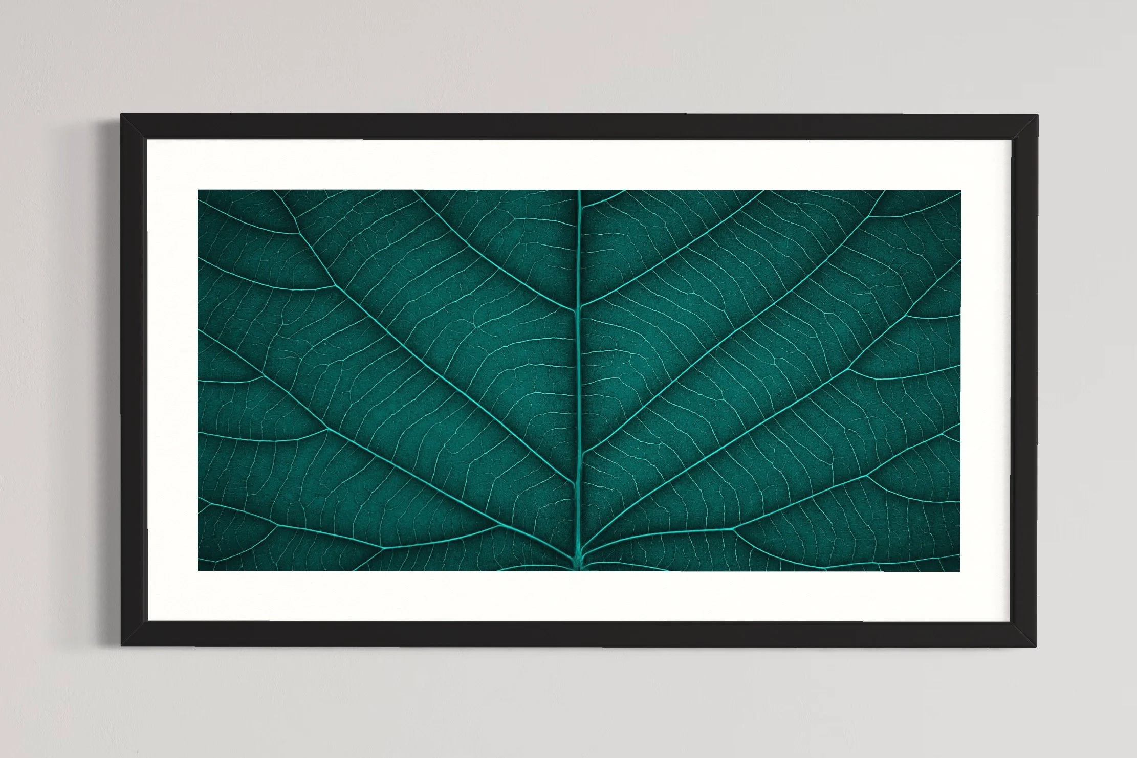 SEMD401 - Black Frame.JPG