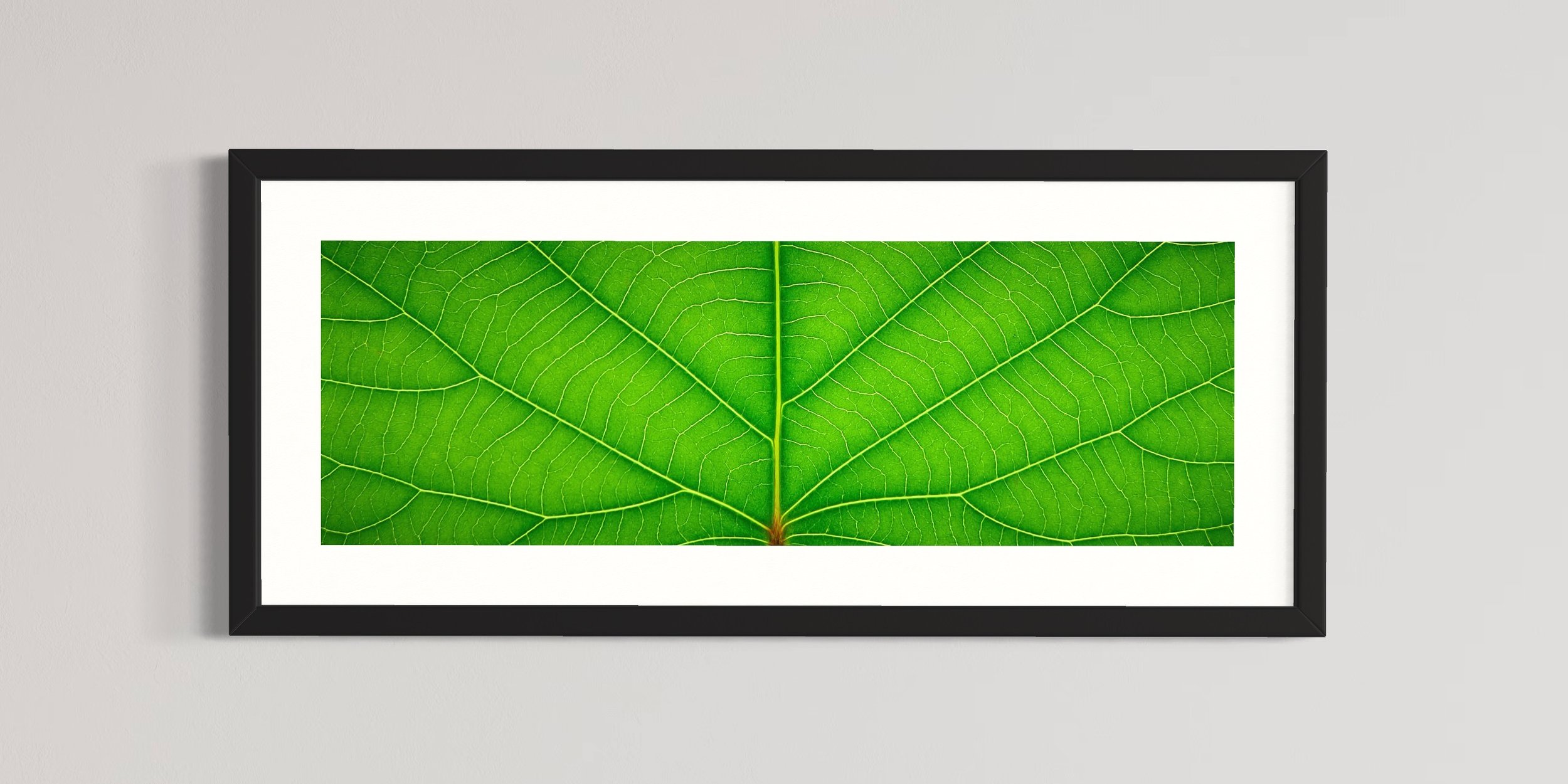 SEMD381 - Black Frame.JPG