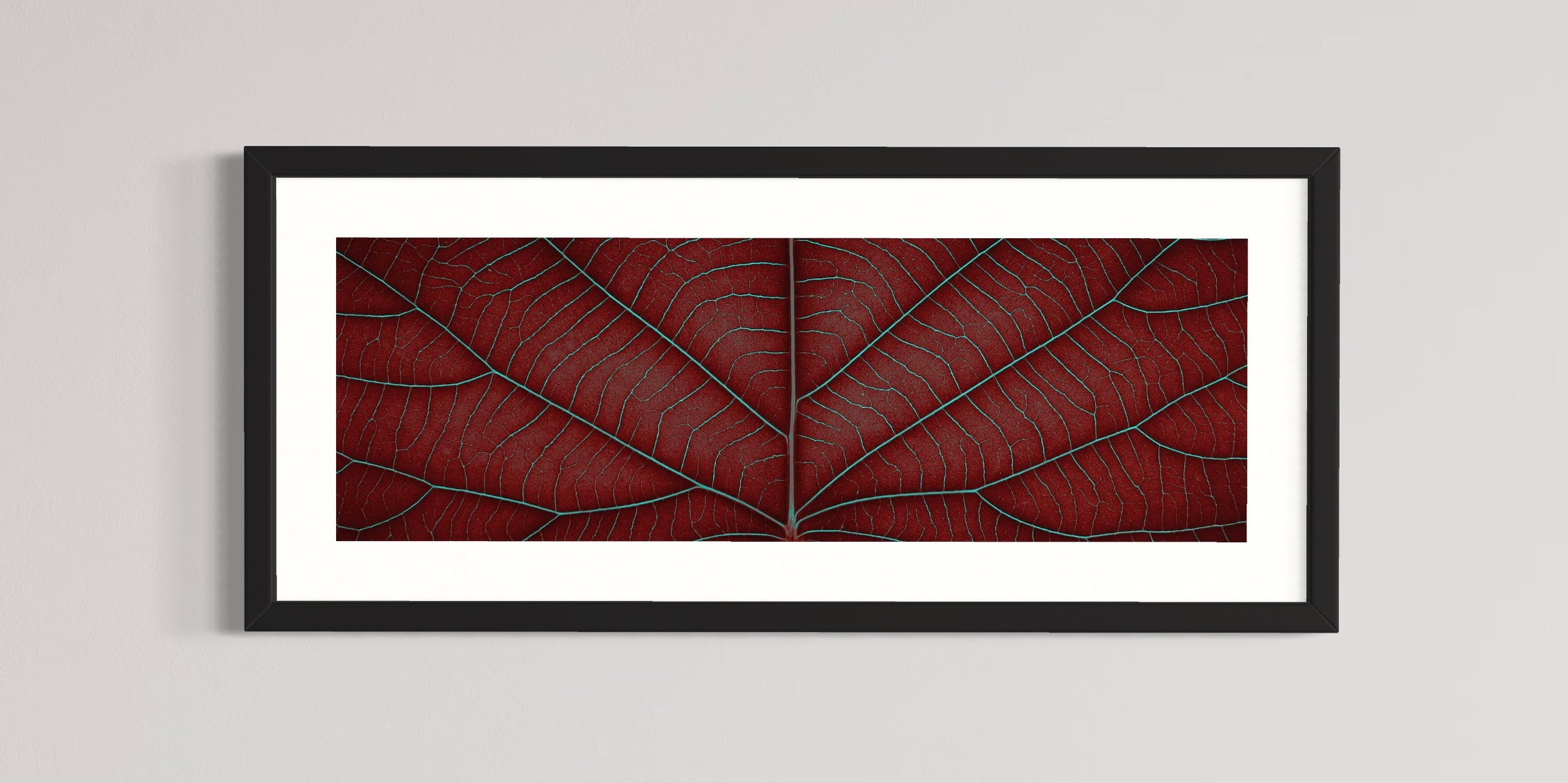 SEMD399 - Black Frame.JPG