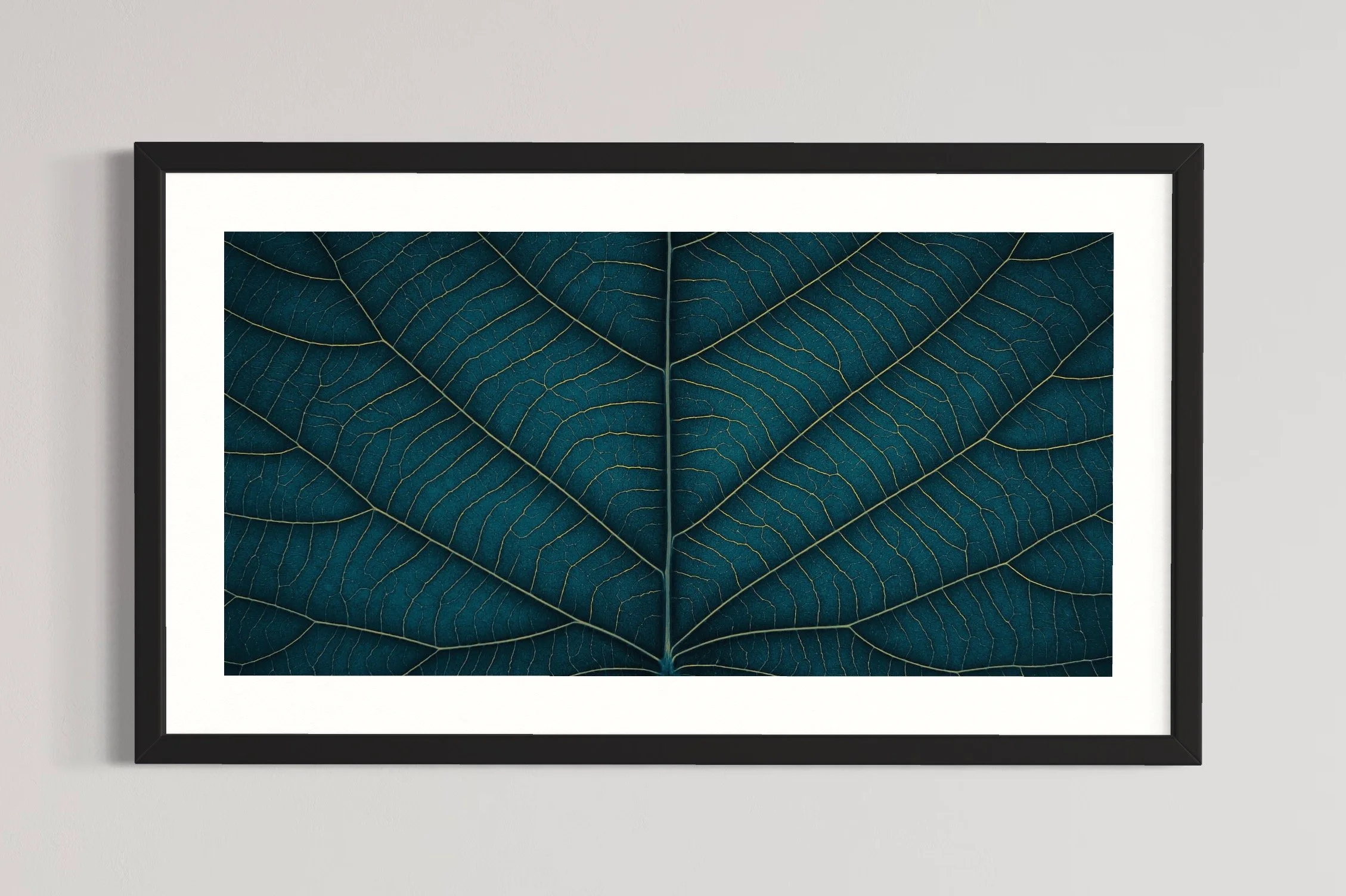 SEMD389 - Black Frame.JPG