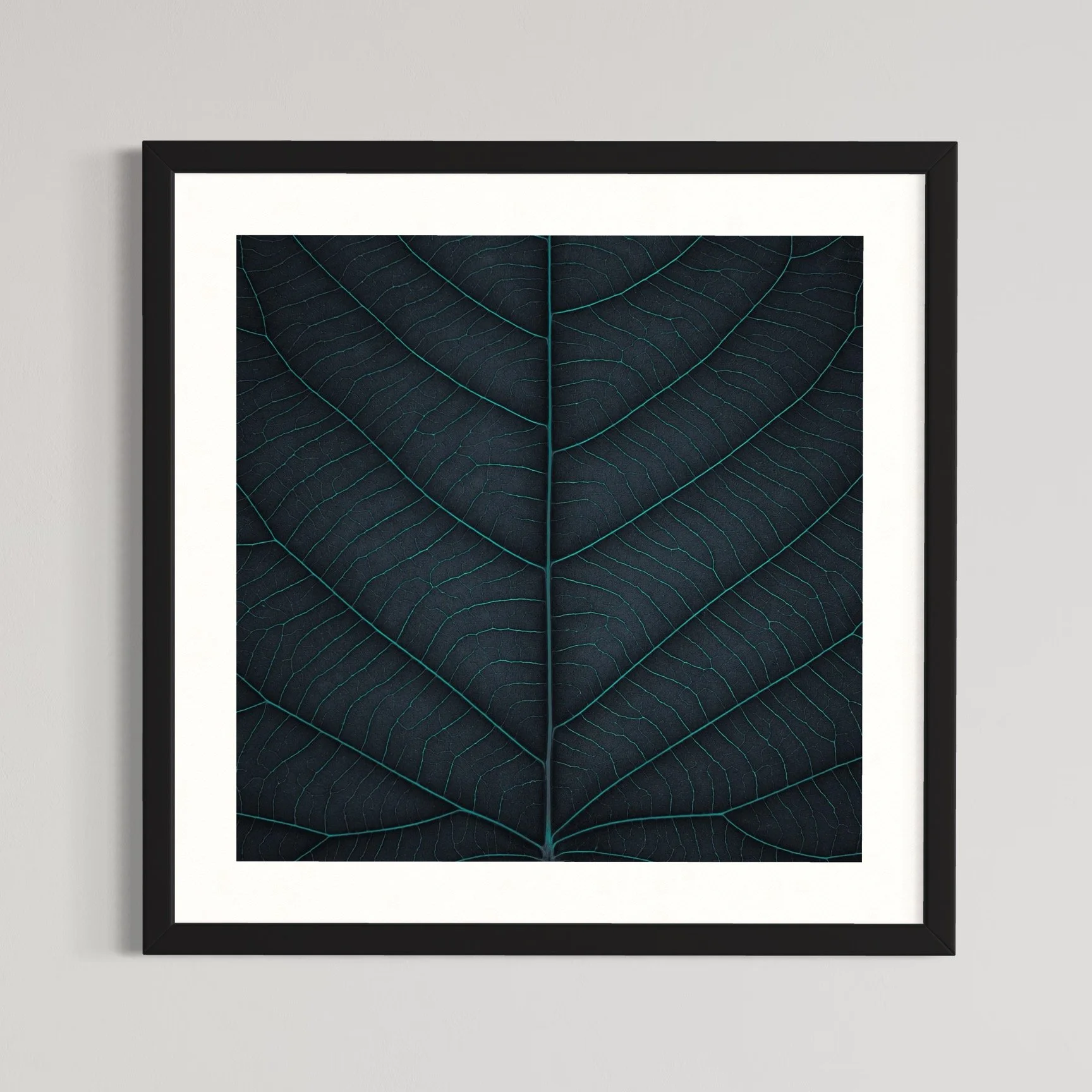 SEMD396 - Black Frame.jpeg