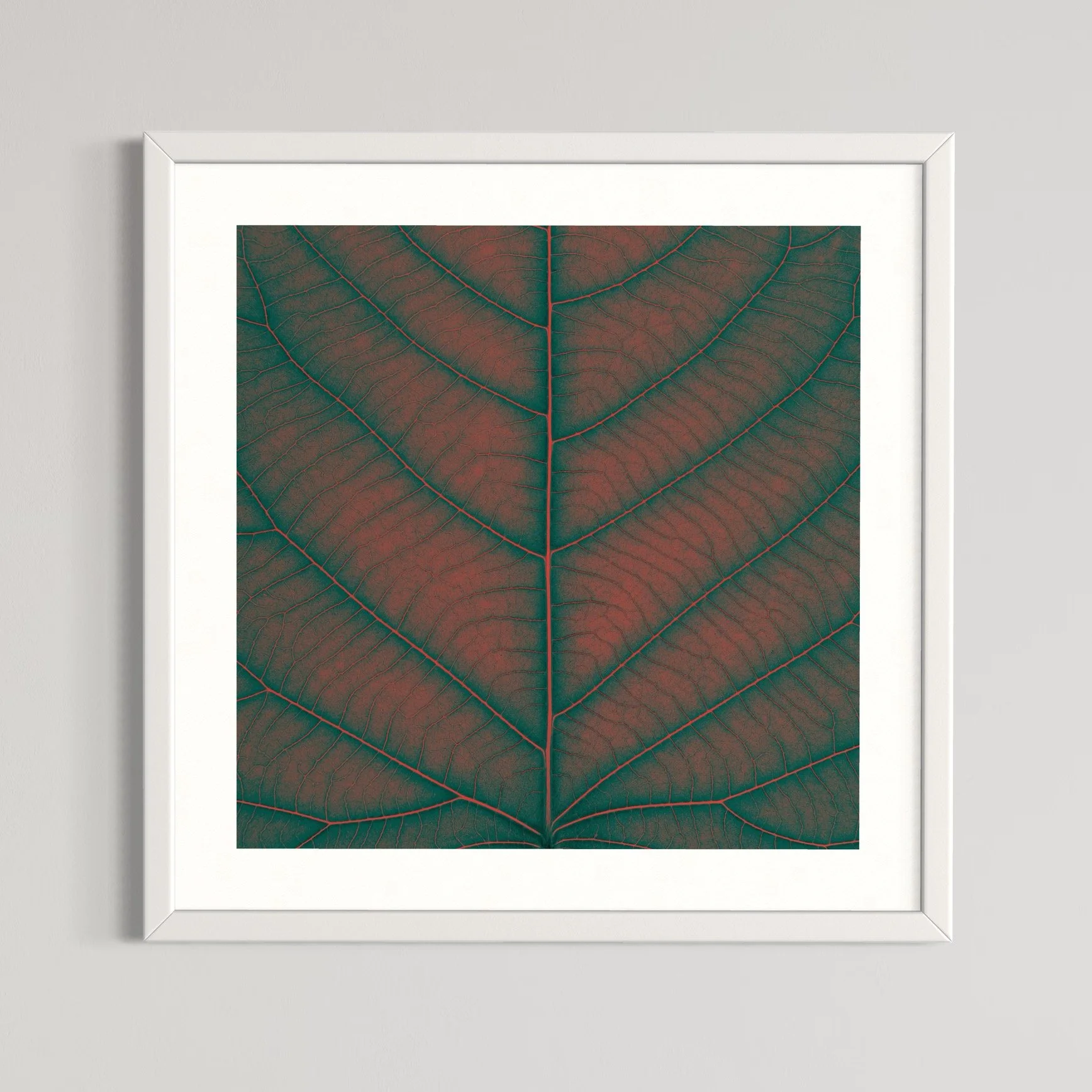 SEMD386 - White Frame.jpeg