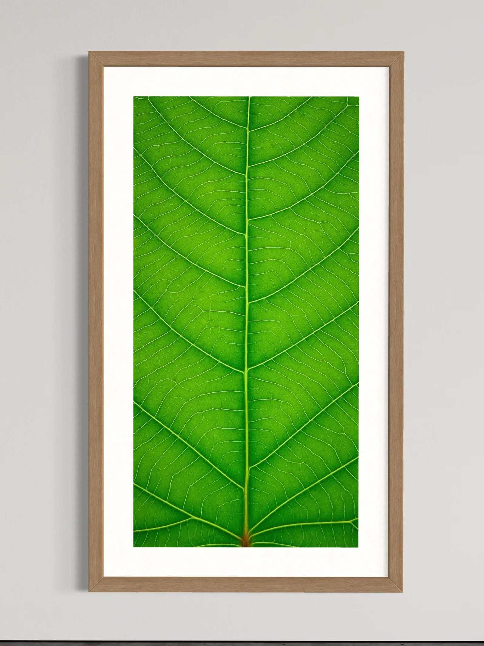SEMD371 - Natural Light Wood Frame.jpeg