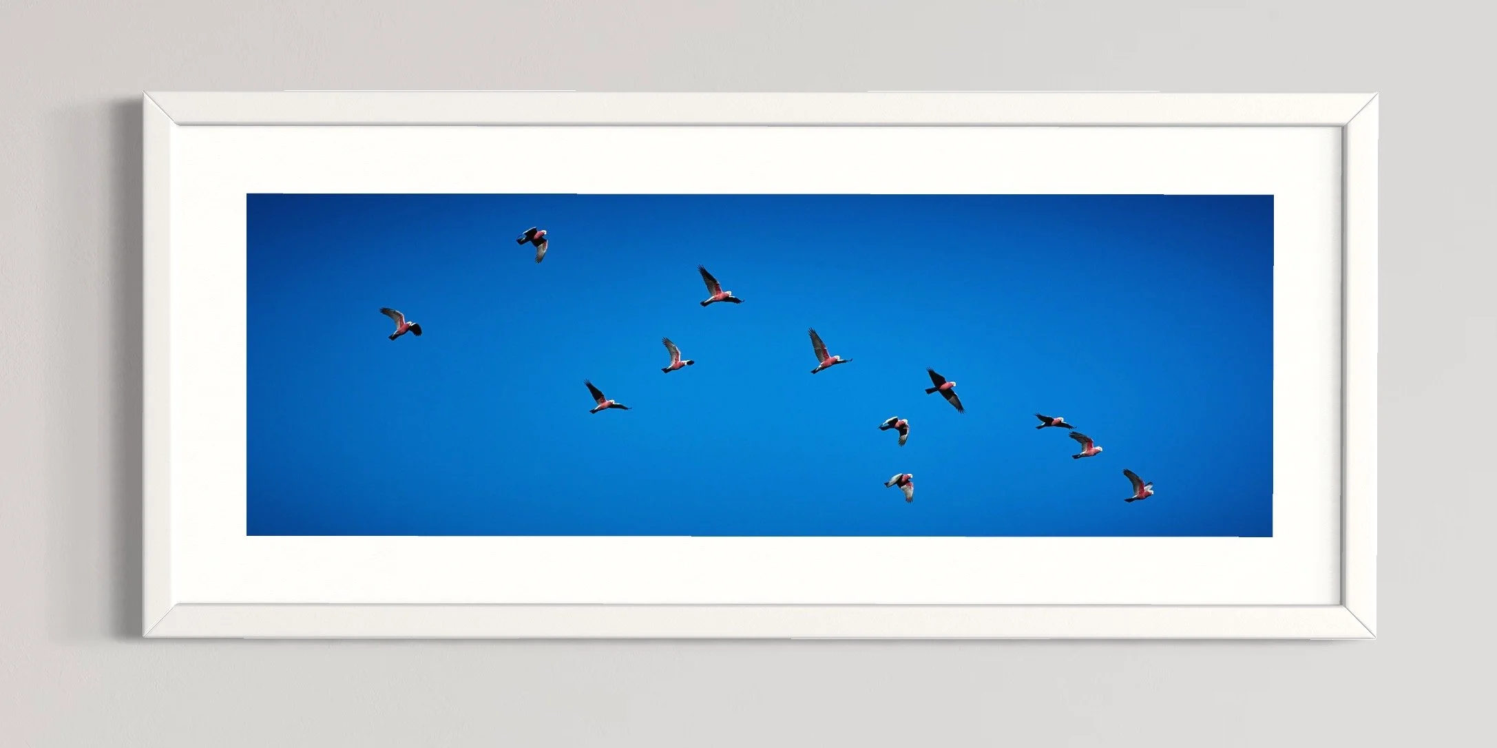 SEMD576 - White Frame.jpg
