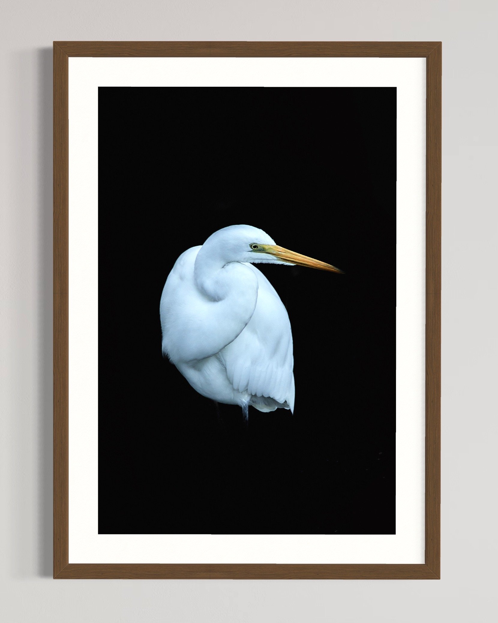 SEMD581 - Natural Wood Frame.jpg