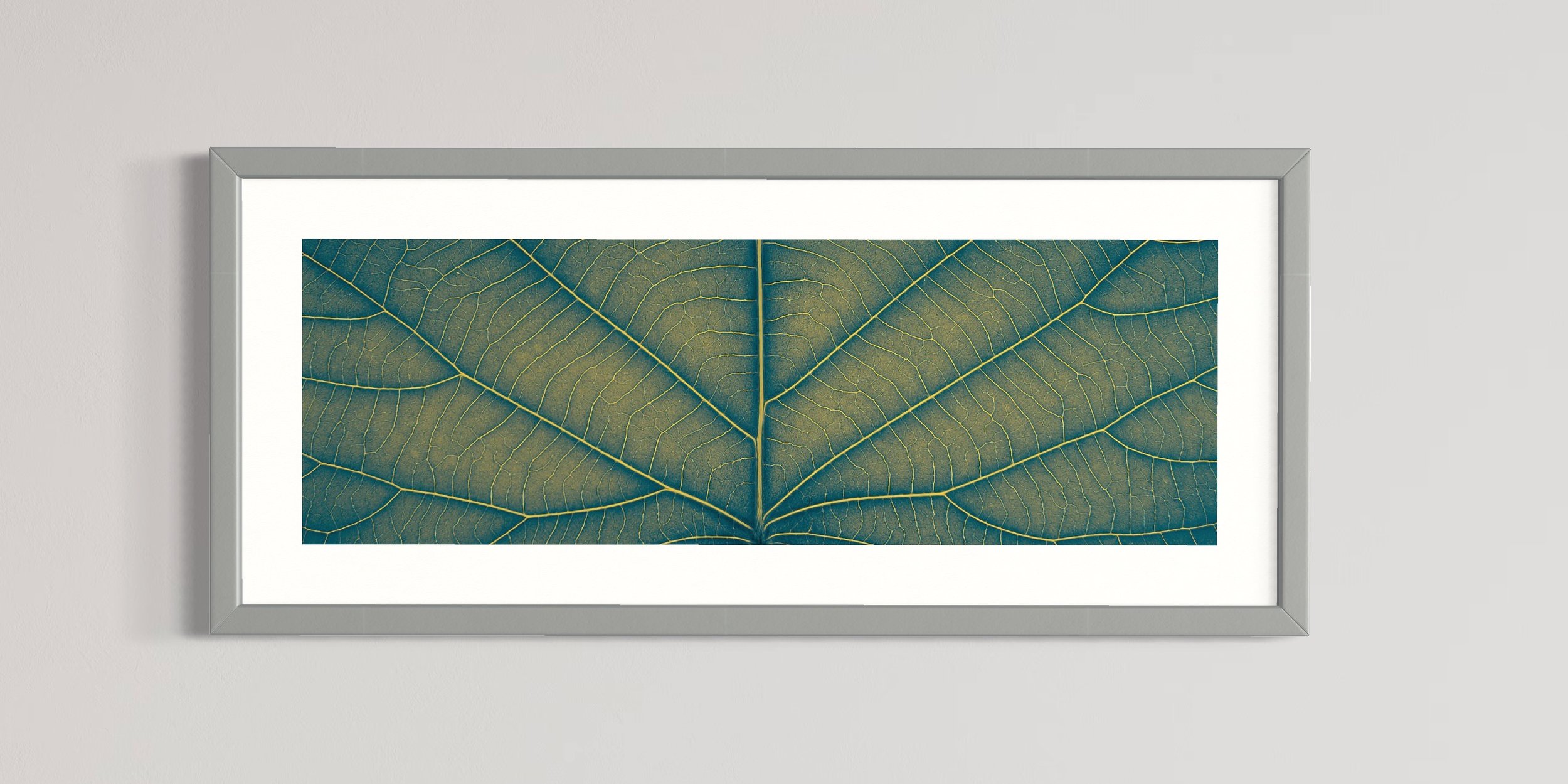 SEMD392 - Silver Frame.JPG
